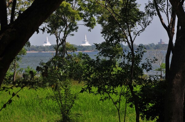 A view of a temple complex with white structures and a body of water in the foreground.