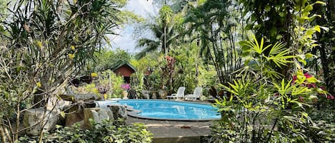 Outdoor pool, sun loungers