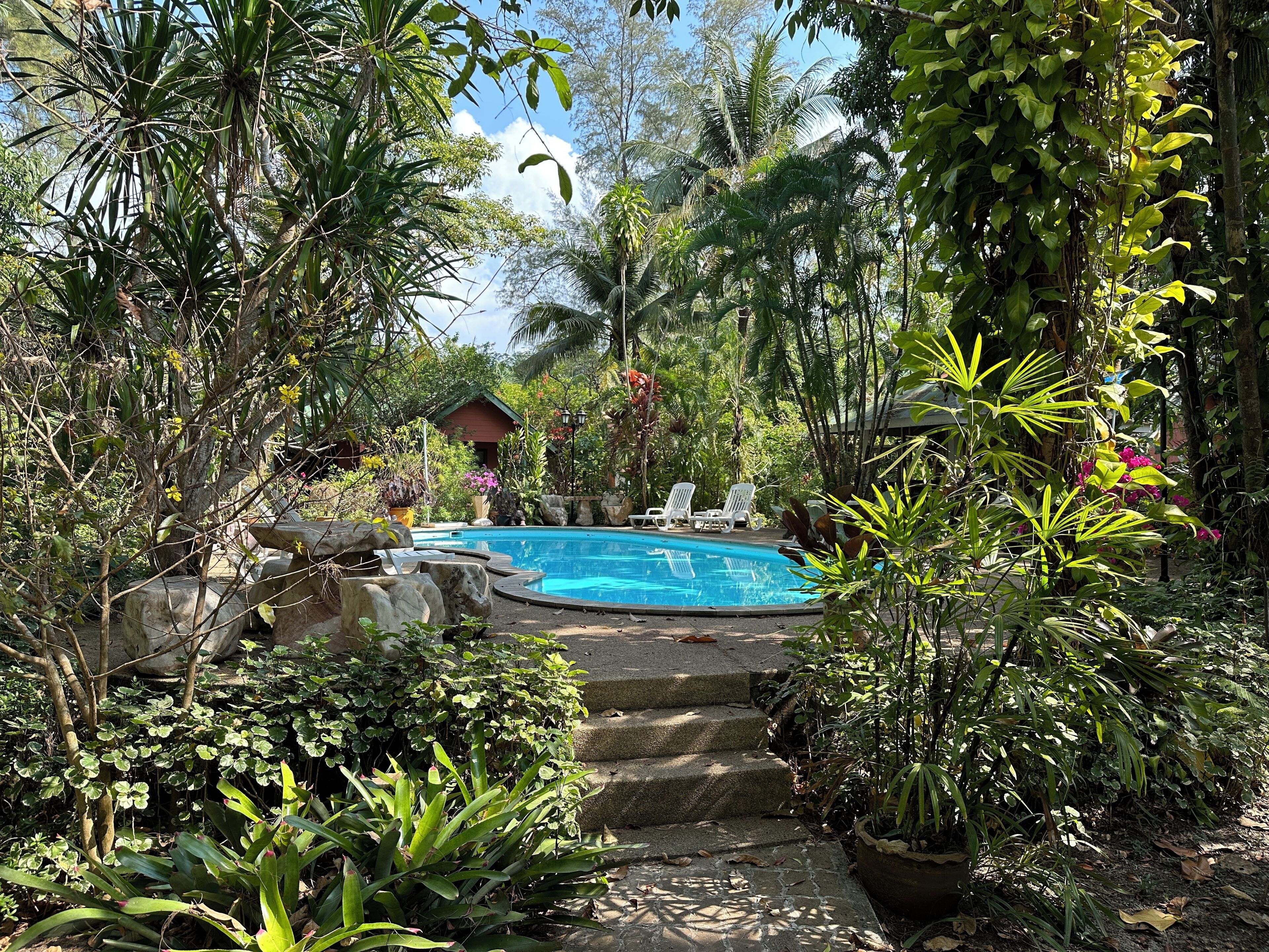 Outdoor pool, pool loungers