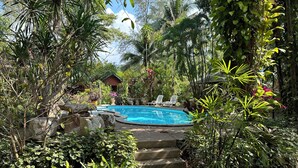 Una piscina envoltada de vegetació exuberant i una petita construcció de fusta.
