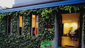 Um edifício com paredes cobertas de hera e uma grande planta em vaso na parte externa.