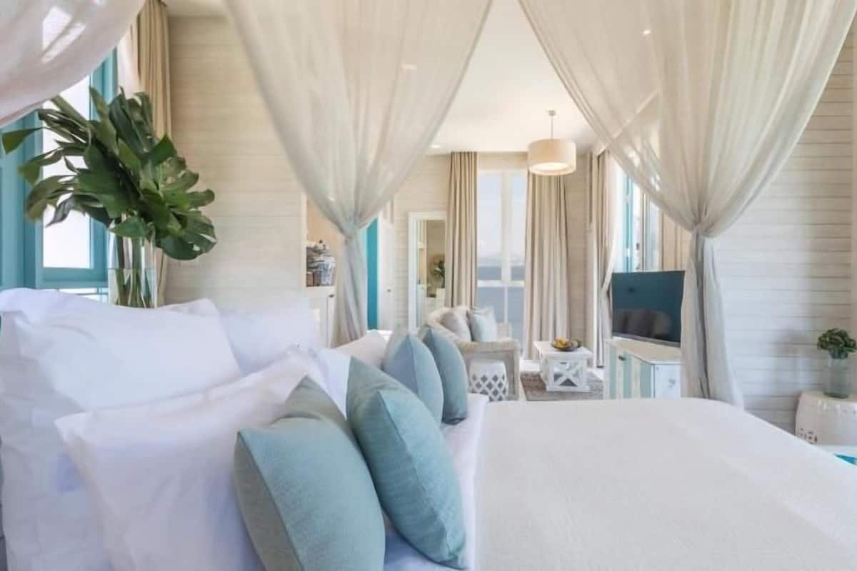 Une chambre à coucher avec un lit, des rideaux, une télévision, une plante et une fenêtre.