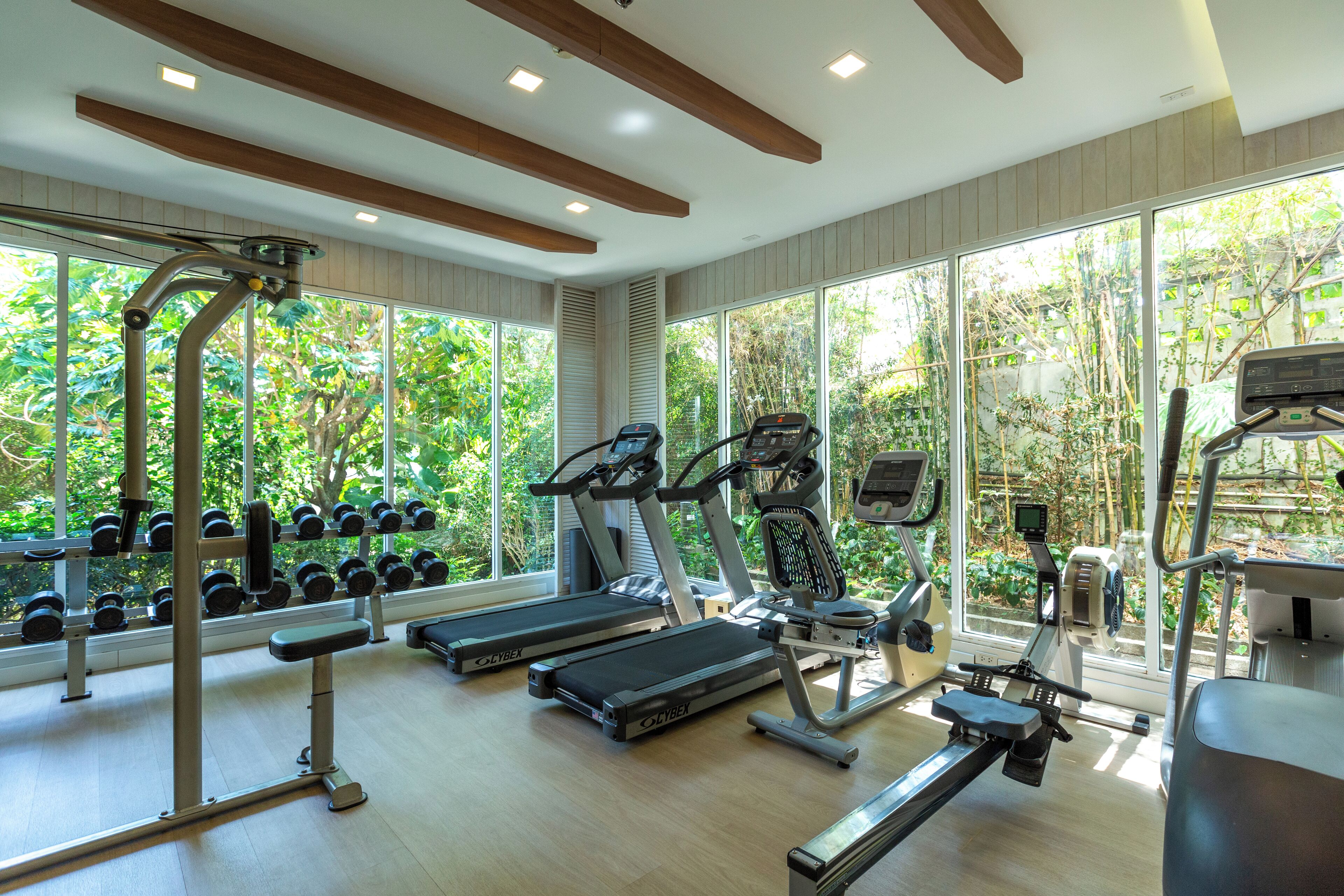 A gym with treadmills, ellipticals, and dumbbells, large windows with a view of greenery.