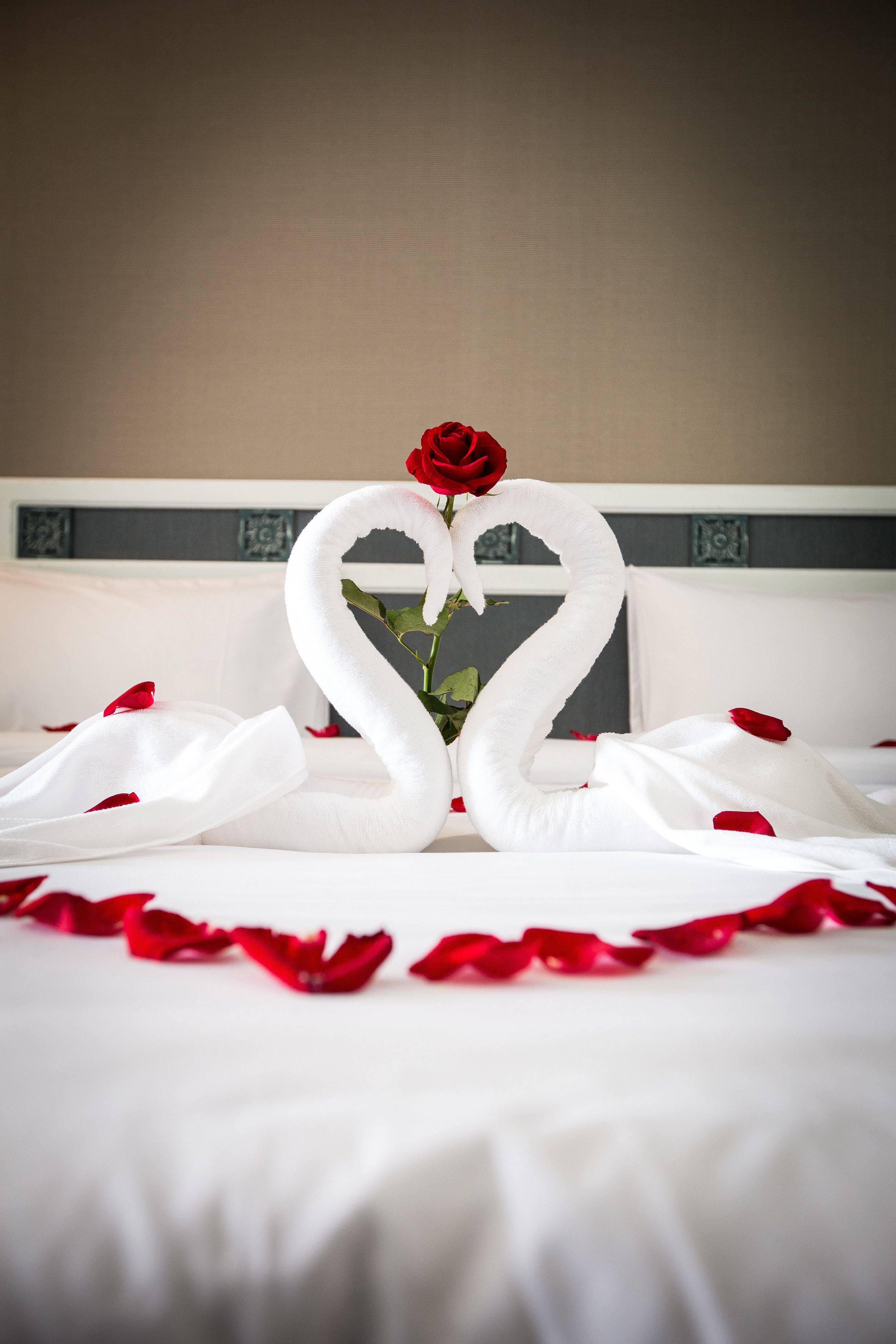 studio | in-room safe, desk, rollaway beds, free wifi