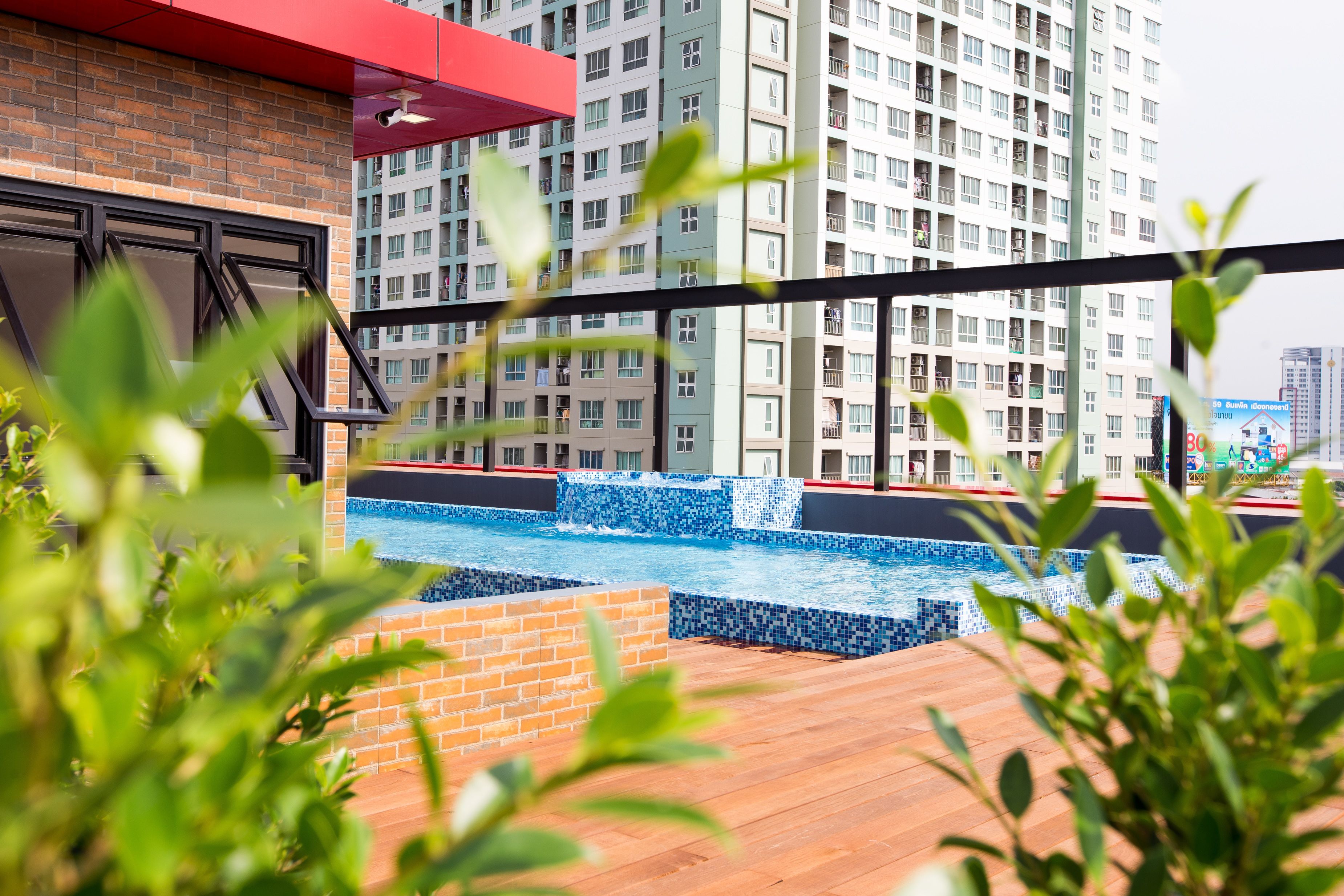 屋外プール、サンラウンジャー