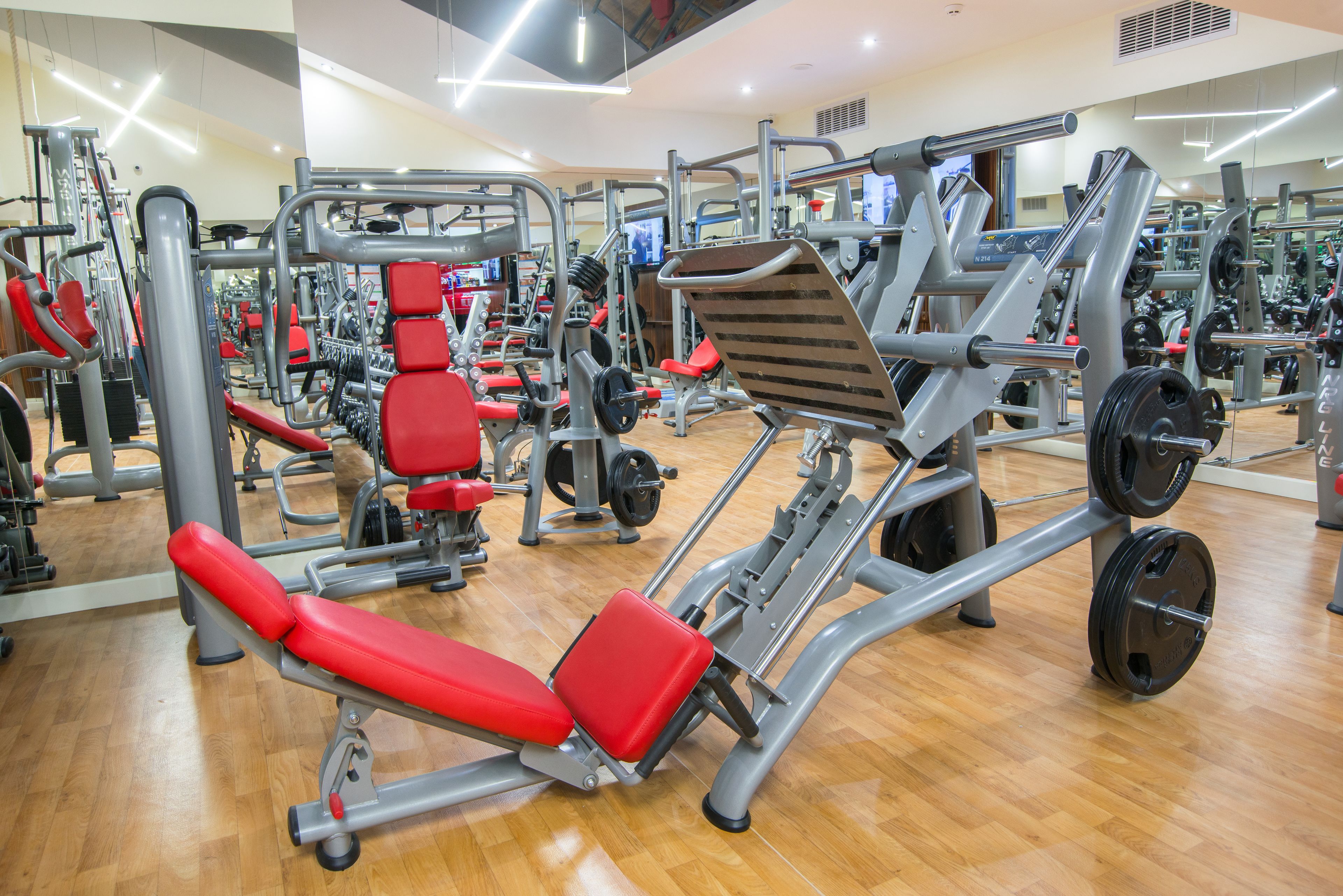 Gimnasio