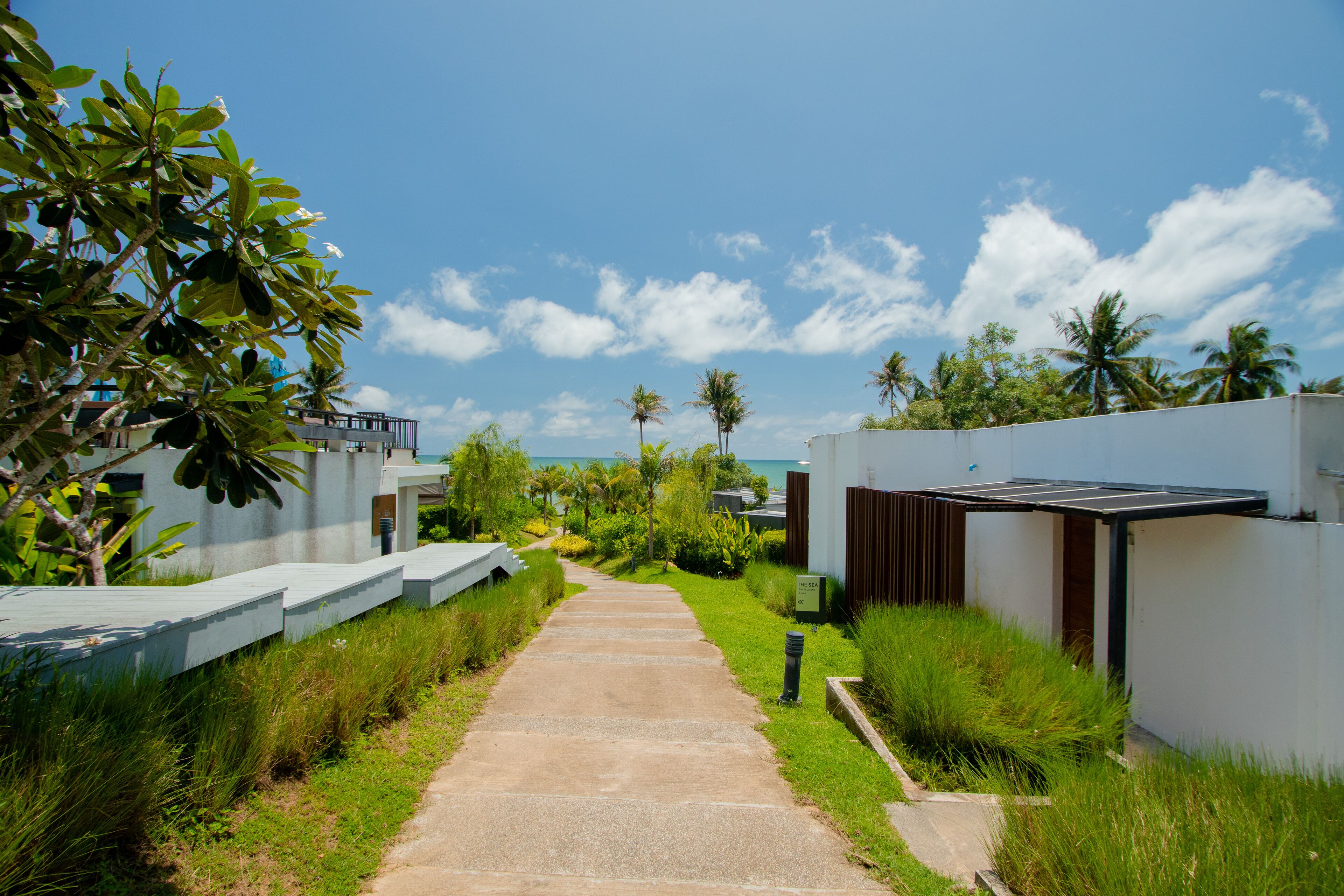 A pathway leading to a modern building with a glass facade, surrounded by lush greenery and palm trees.