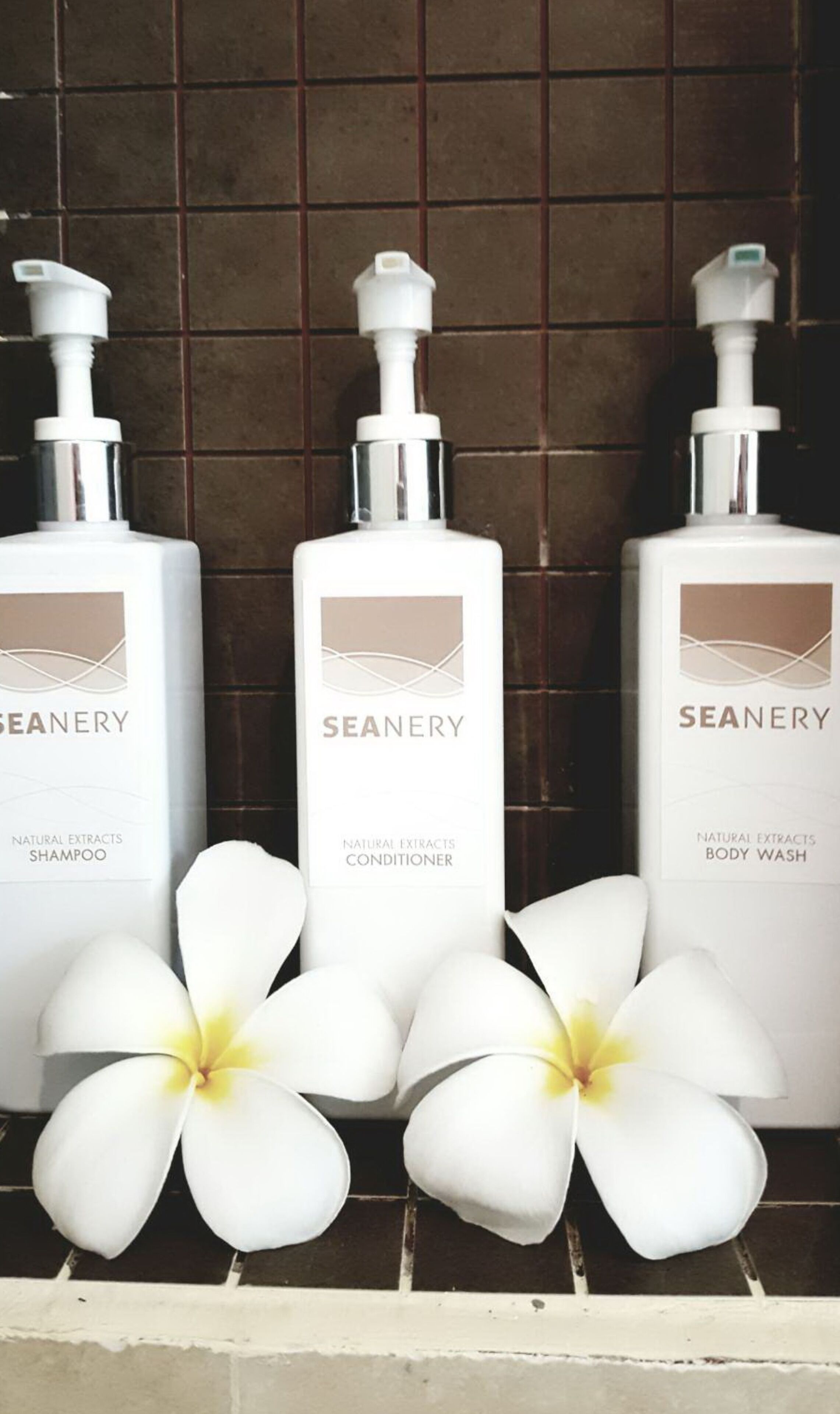 shower, eco-friendly toiletries, hair dryer, bathrobes