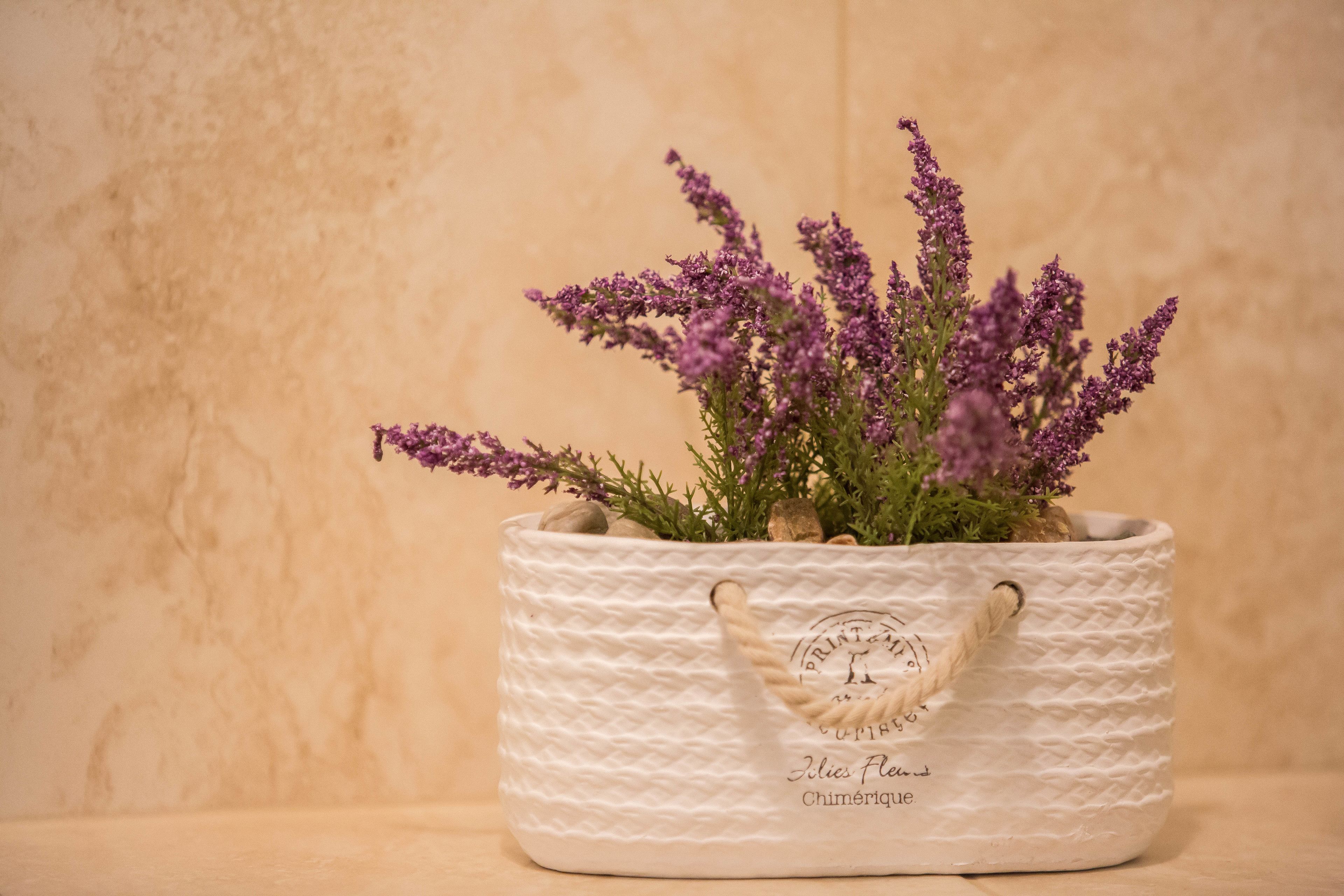 A white textured basket with a rope handle containing purple flowers and green foliage.