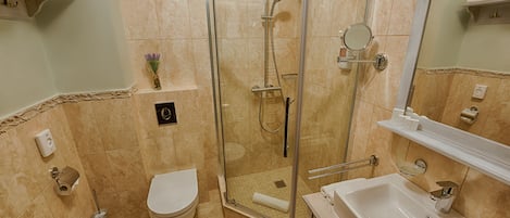 A bathroom with a glass-enclosed shower, a toilet, a sink, and a mirror.