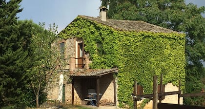 Agriturismo Podere Conte Ràcani