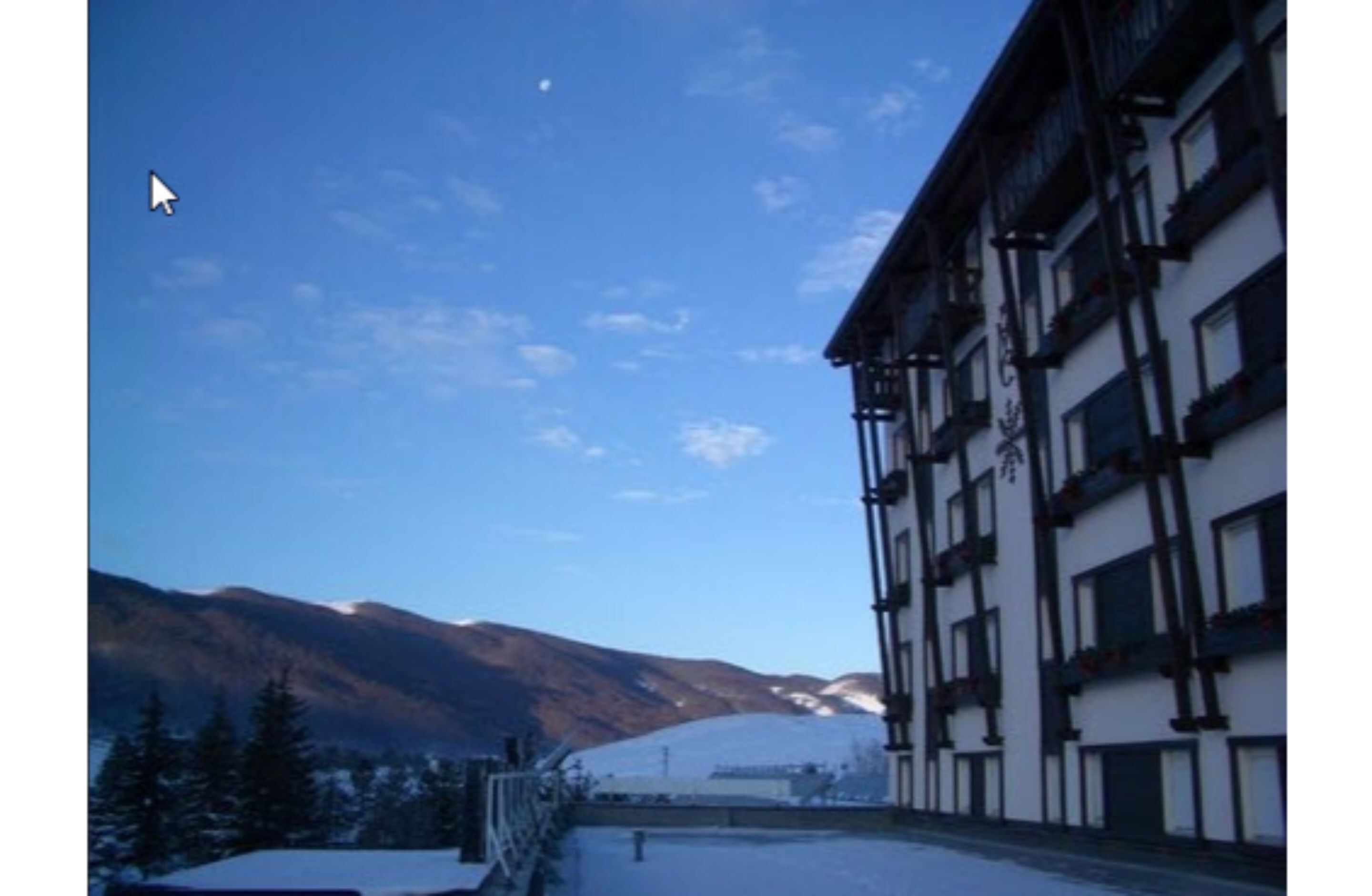 Eksteriør
