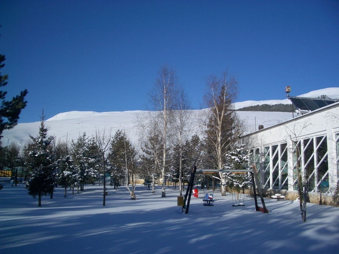 Area esterna innevata con alberi e un edificio con ampie finestre.