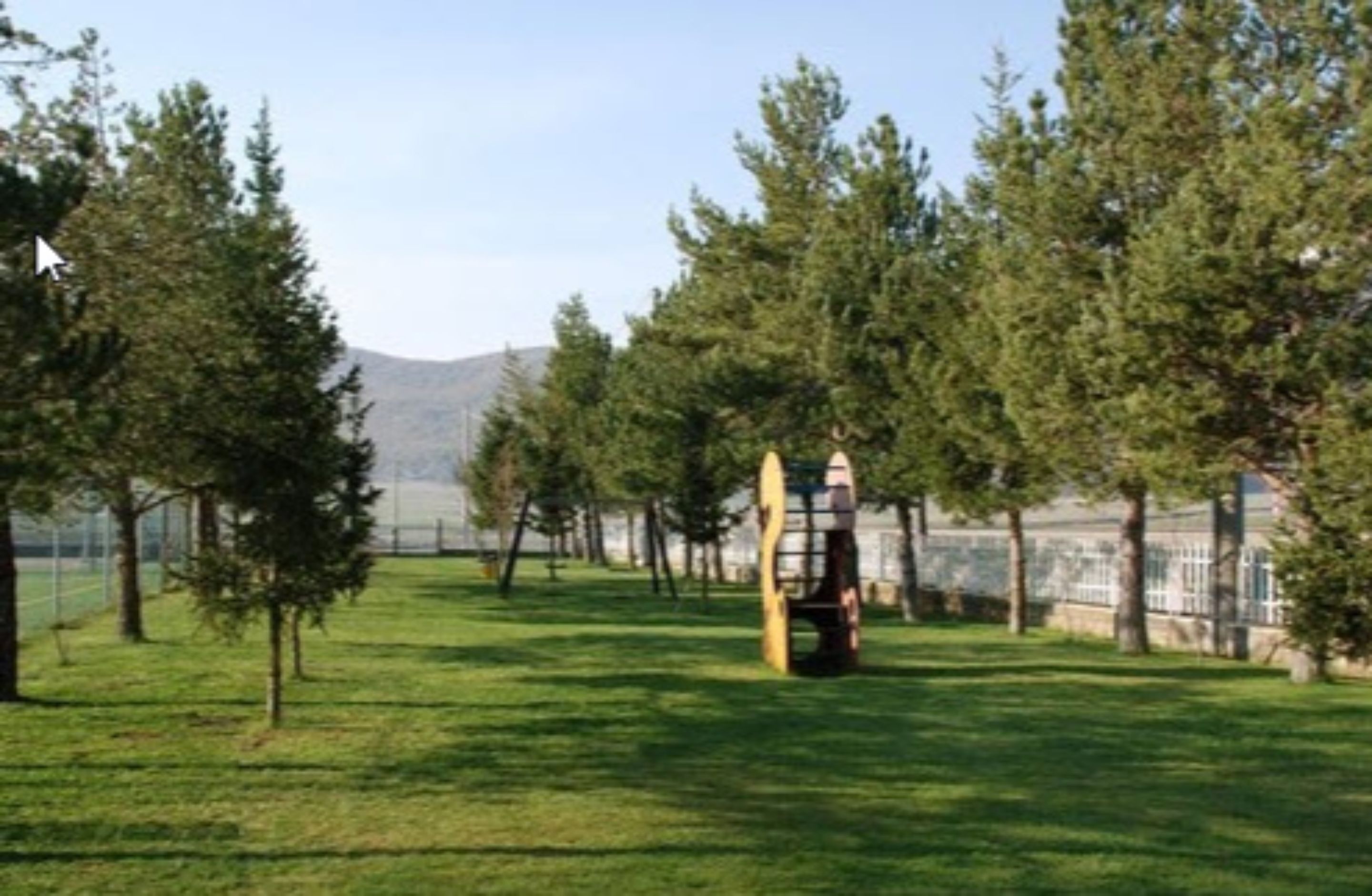 A grassy area with trees and a fenced structure.