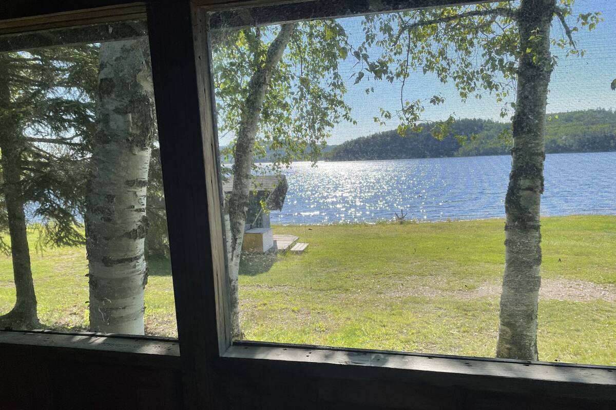 A view through a window of a lake with trees and a grassy area.