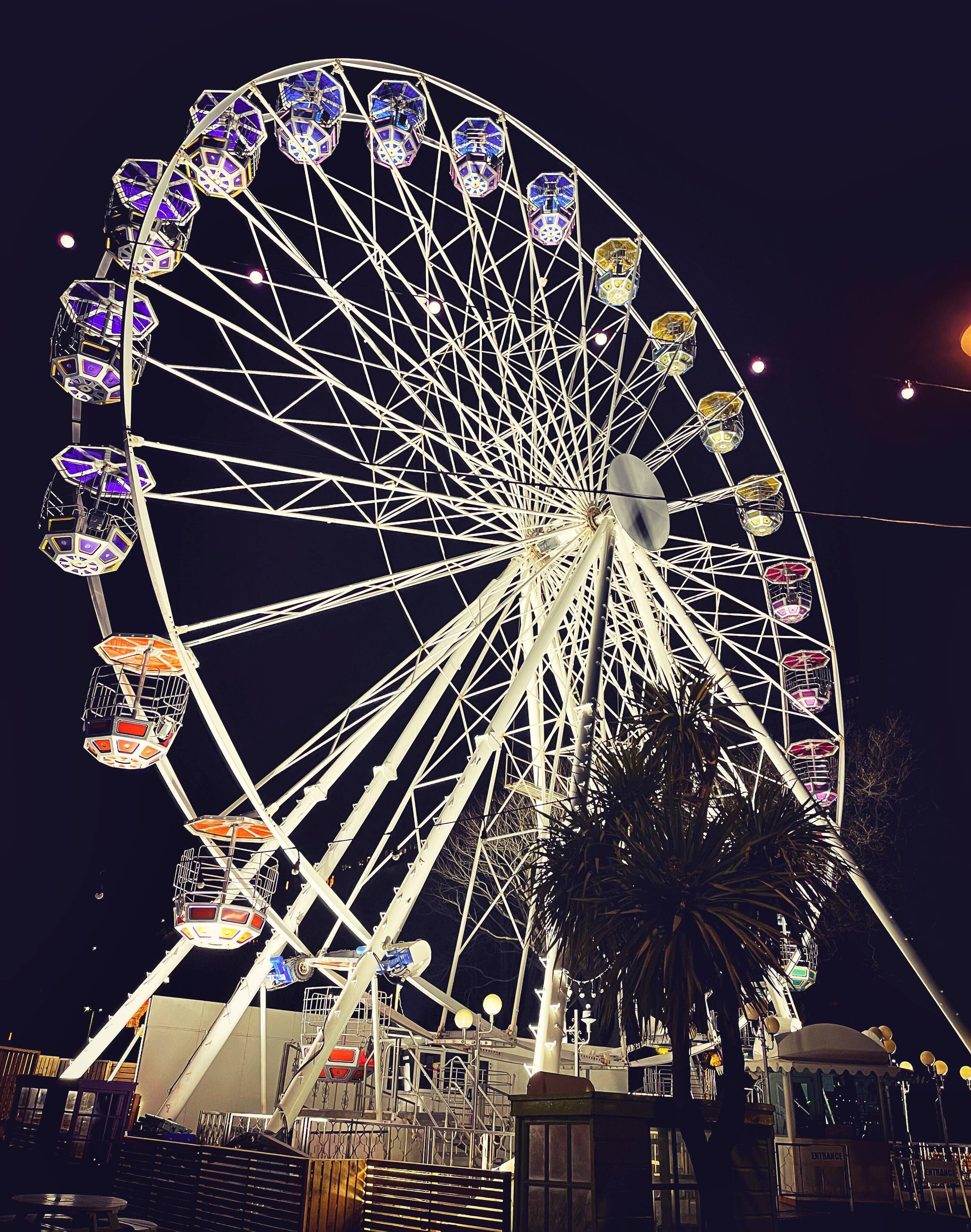 A large Ferris wheel at night with multiple cabins, a central hub, and a palm tree in the foreground.