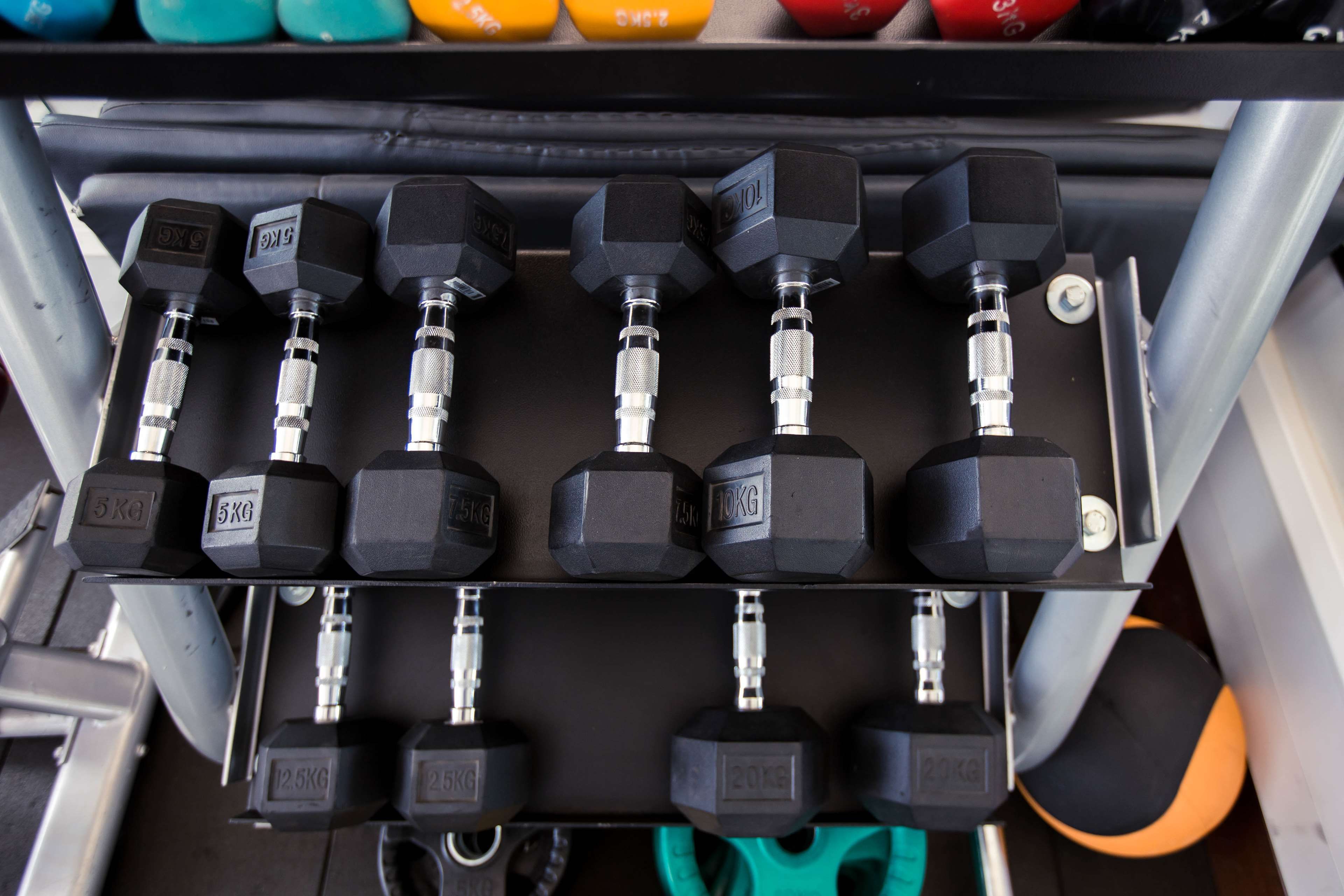 A rack of dumbbells with weights ranging from 5kg to 20kg.