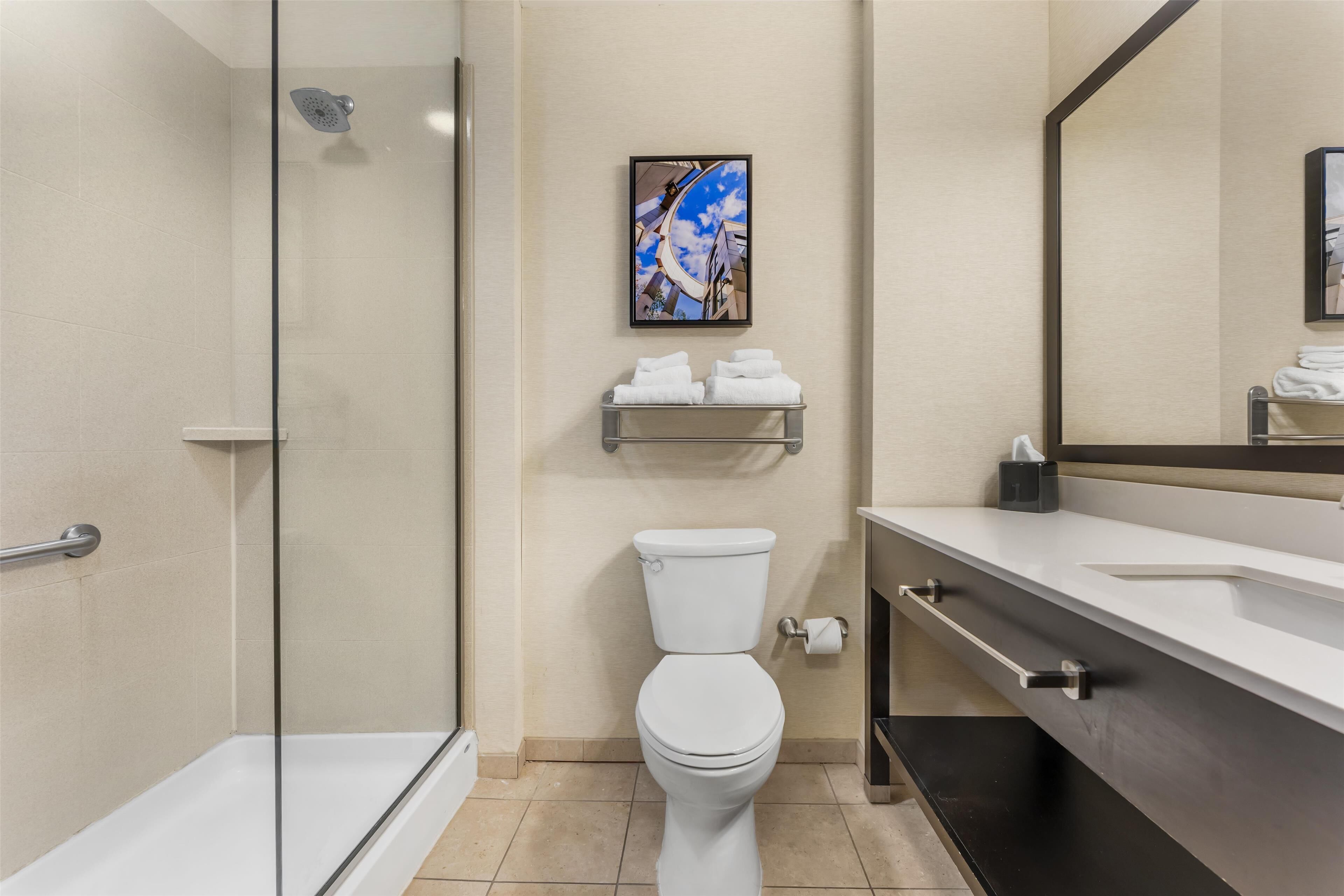 A modern bathroom with a glass shower enclosure, a toilet, and a vanity with a mirror.