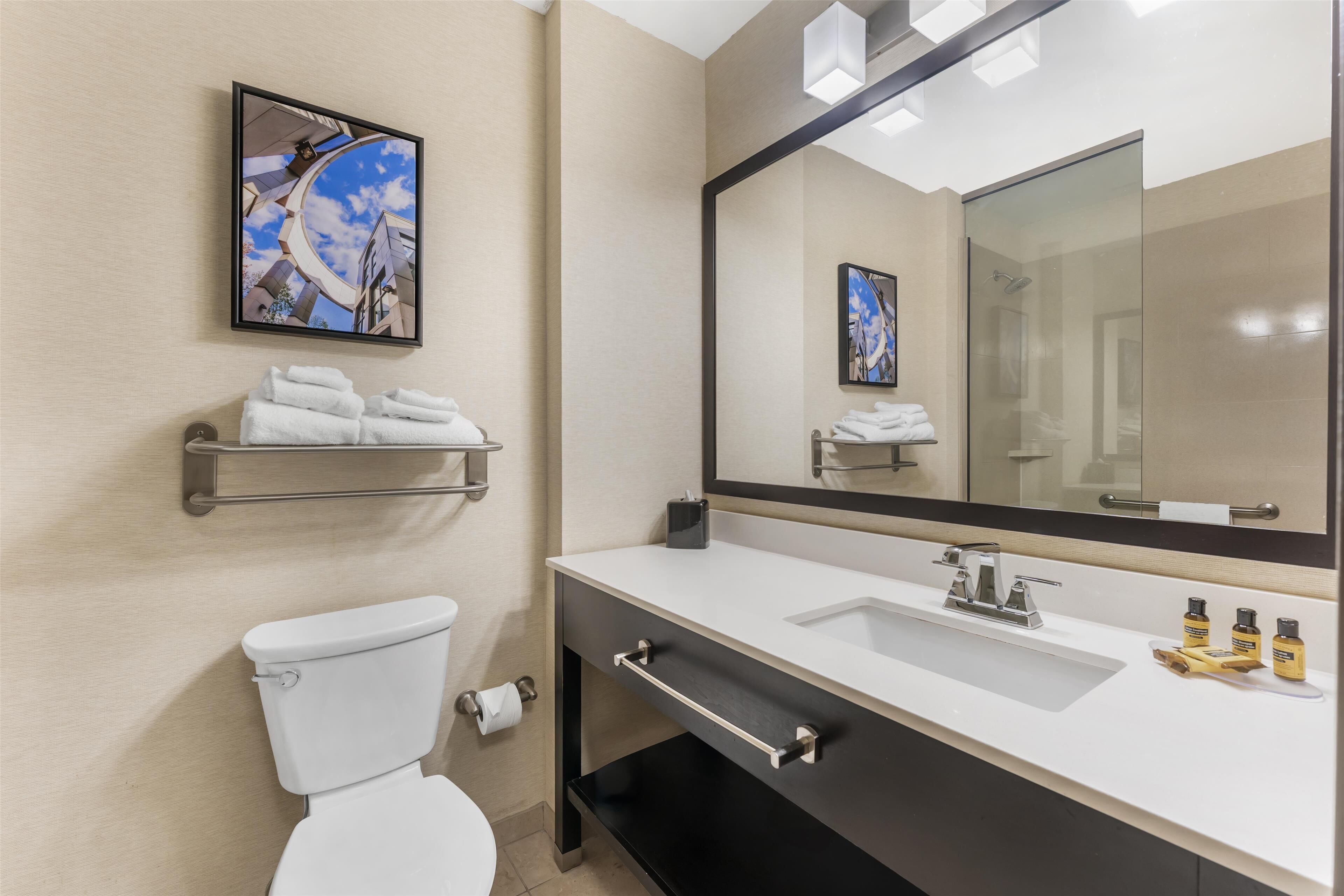 A modern bathroom with a toilet, a sink, a large mirror, and a towel rack.