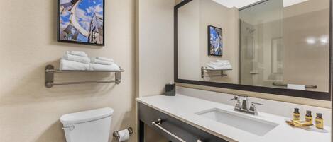 A modern bathroom with a toilet, a sink, a large mirror, and a towel rack.