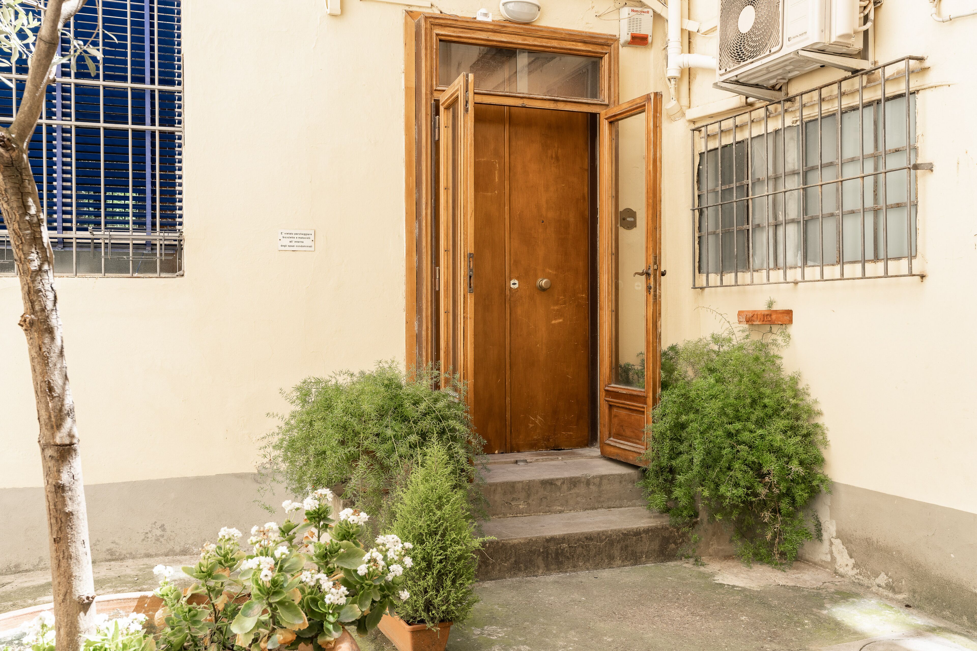 A wooden door with a glass panel, a small set of steps leading up to it, and a potted plant in the foreground.