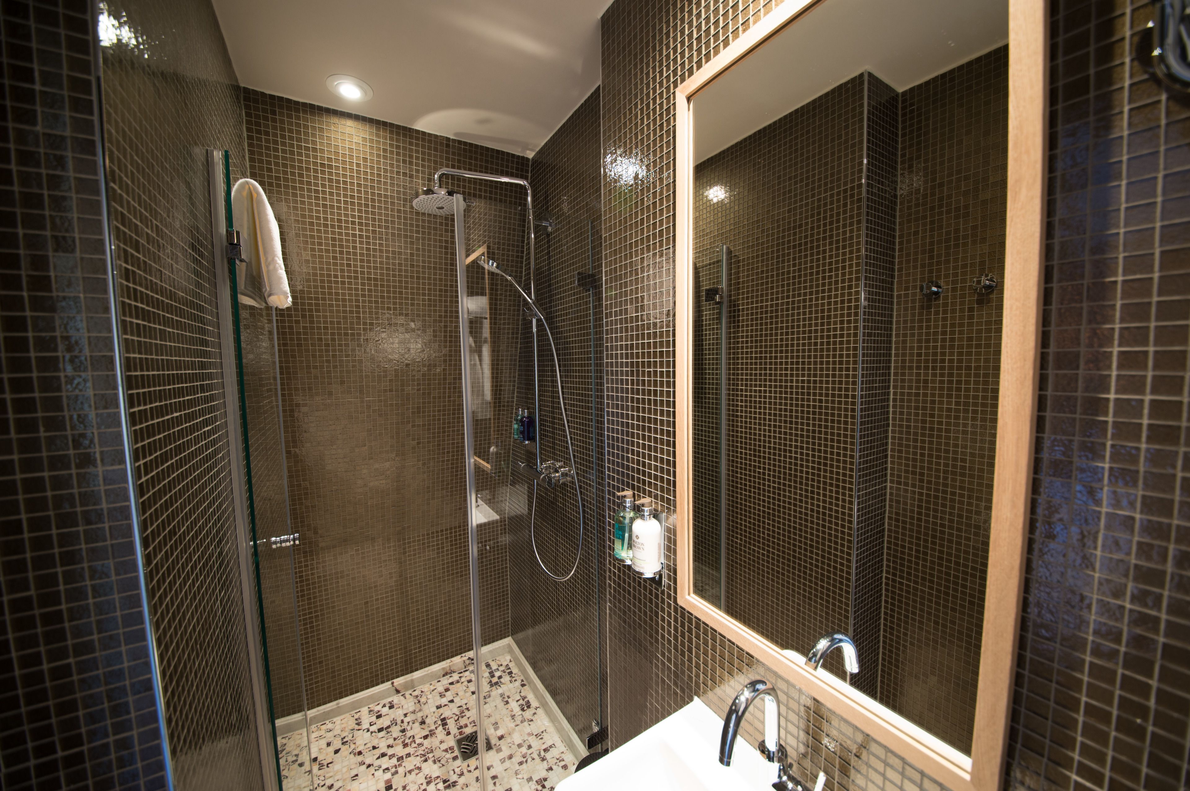 shower, free toiletries, hair dryer, towels