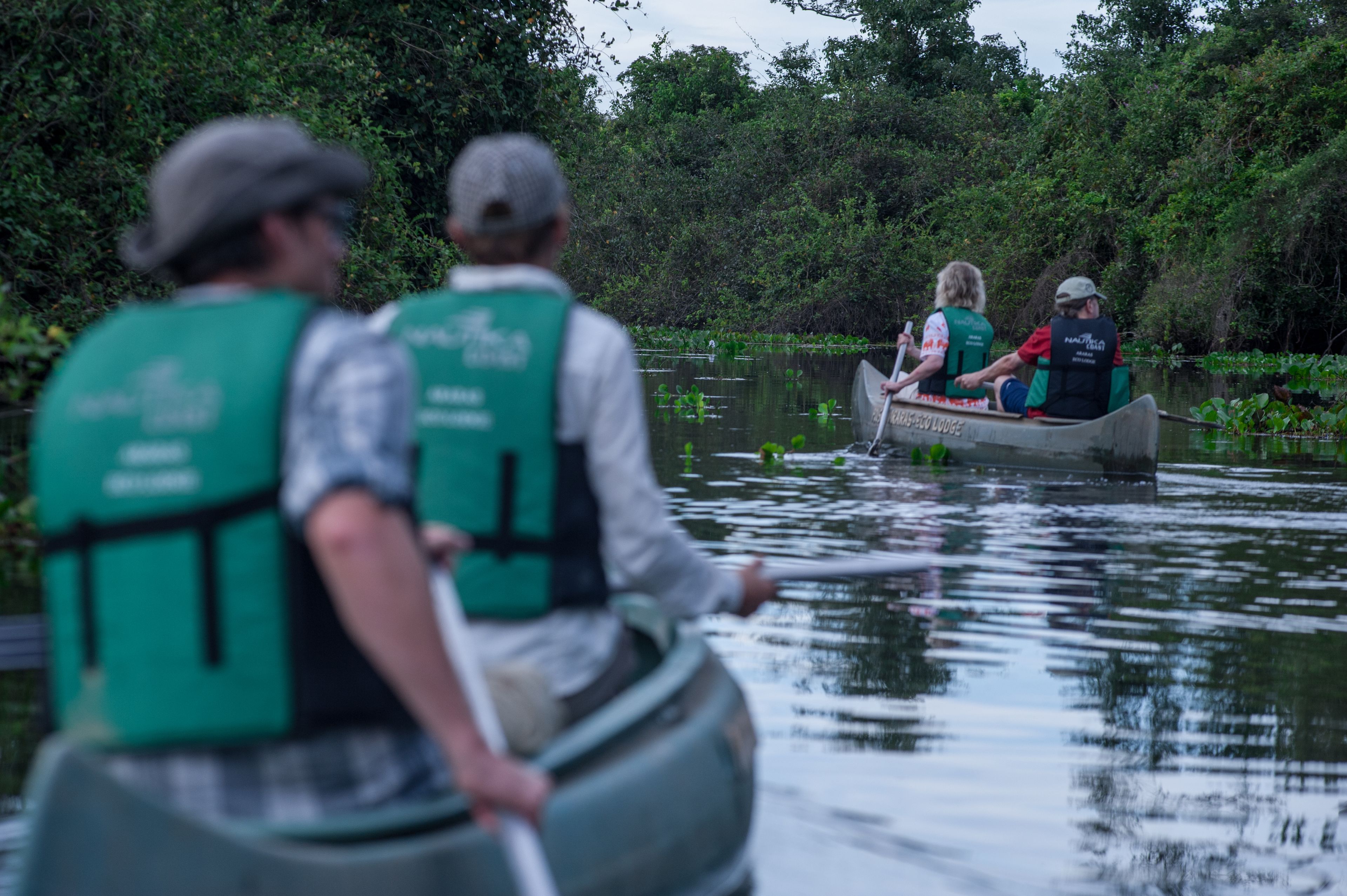 A group of people in a canoe on a calm body of water surrounded by dense greenery.