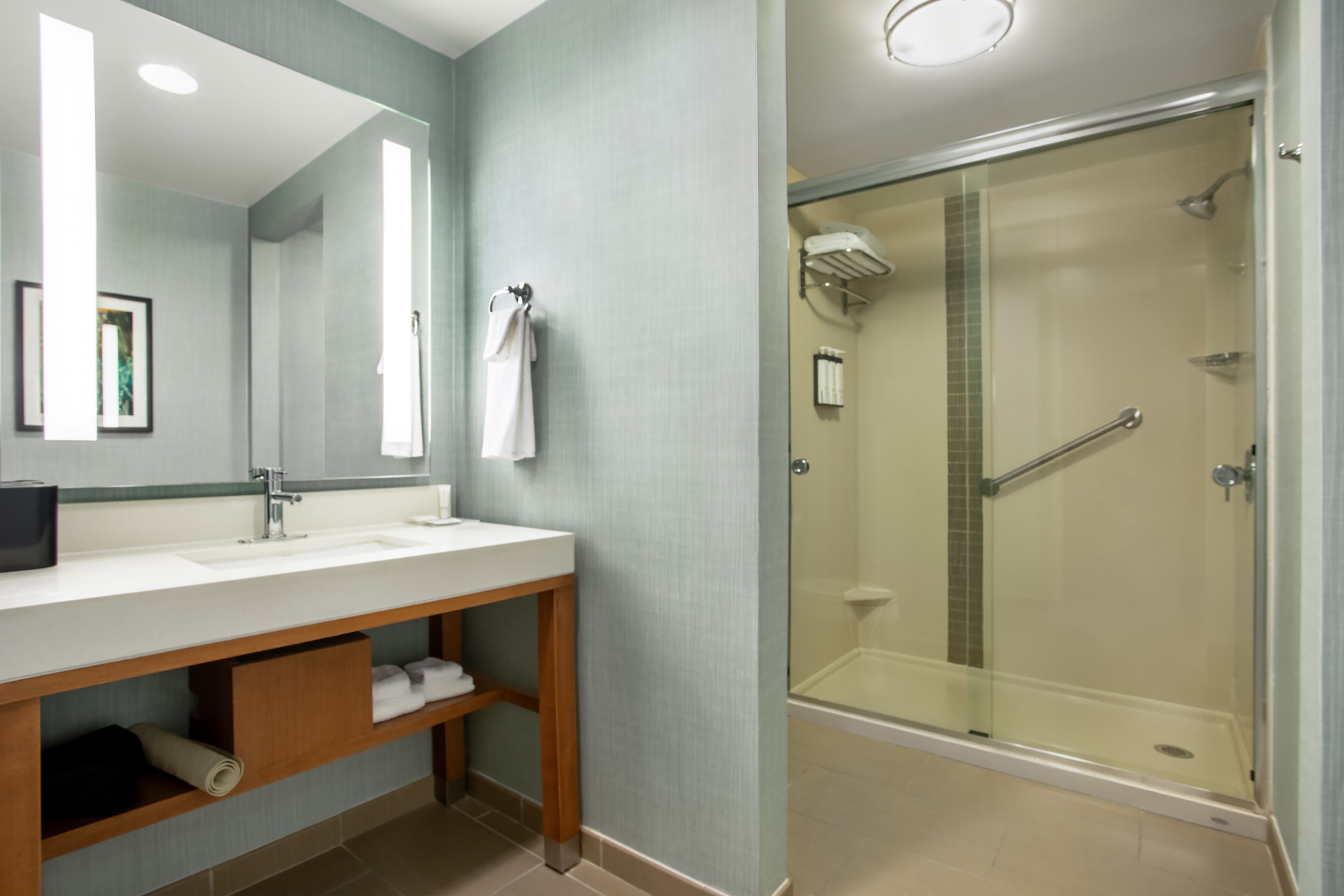 suite, 1 king bed with sofa bed | bathroom | free toiletries, hair dryer, towels, soap