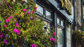Un edificio con un letrero que dice "Star Hotel" y una jardinera con flores rosas y púrpuras.