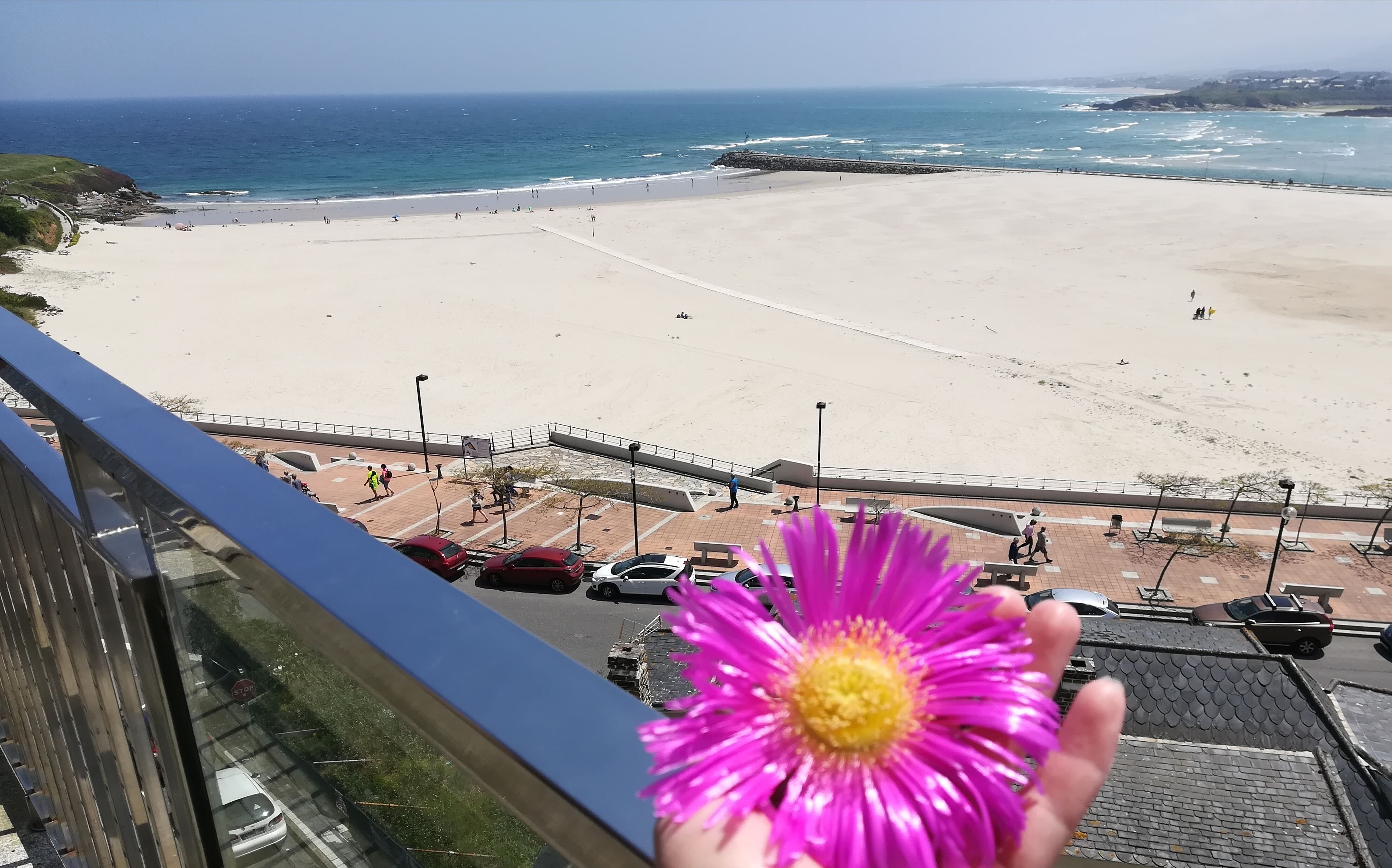 Vista desde la propiedad