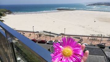 Vistas desde el alojamiento