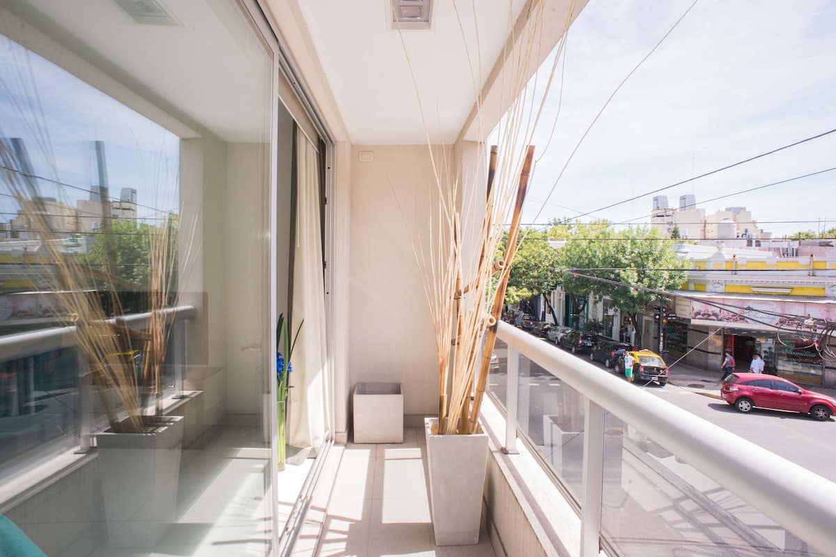 Un balcón con vista a la calle, una planta en maceta y una ventana con reflejos.