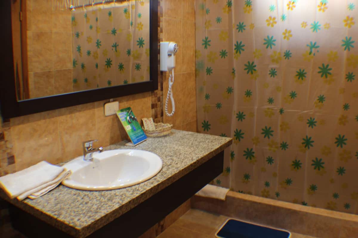 double room, 1 queen bed | bathroom | shower, free toiletries, hair dryer, towels