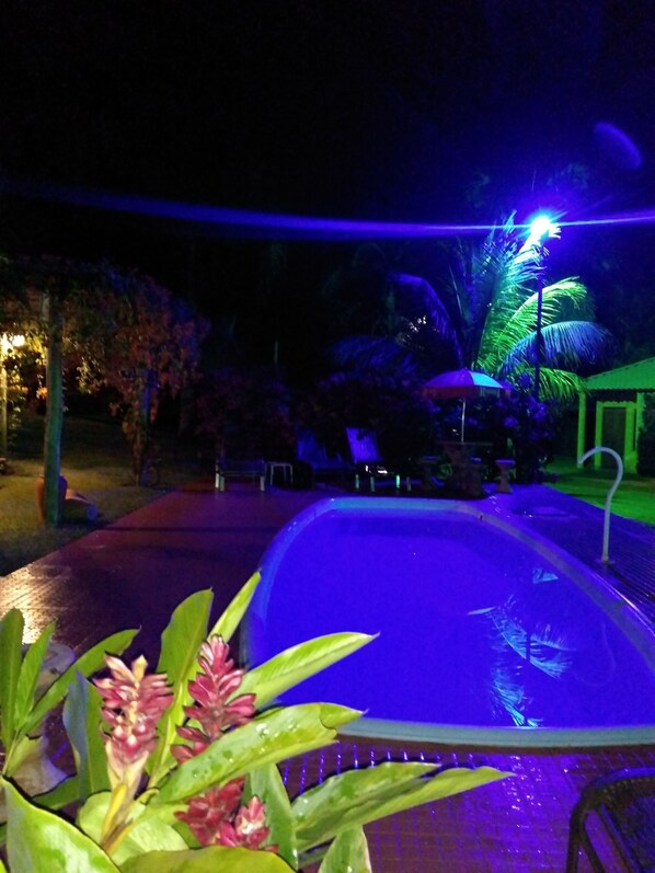 Piscina nocturna con iluminación azul, rodeada de vegetación y una pequeña estructura.