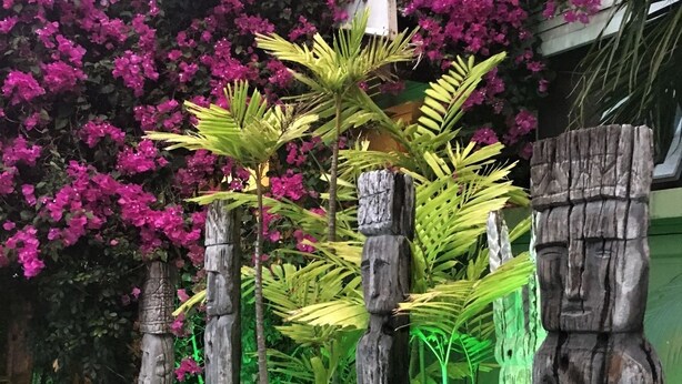 A garden with a wooden fence, tropical plants, and pink flowers. - Résidence Marina Beach (Nouméa)