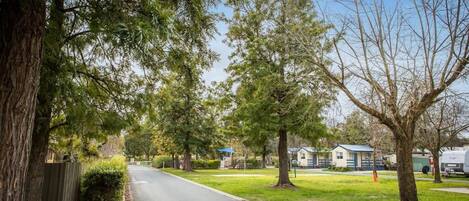 Een woonstraat met bomen en huizen.