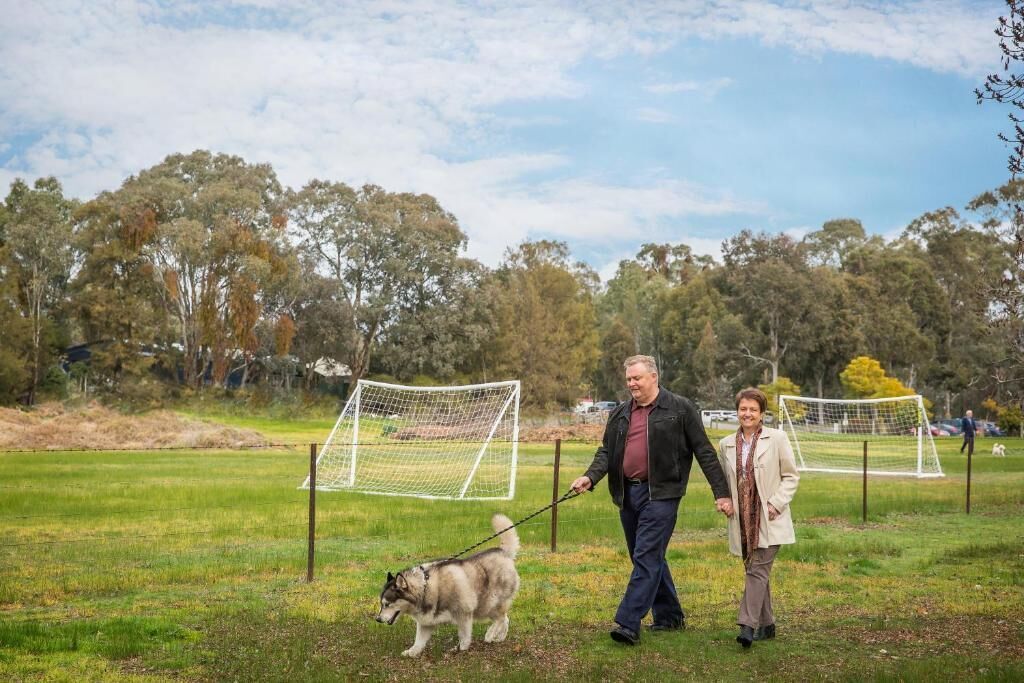 Eine grüne Wiese mit zwei Fußballtoren und einem Hund an der Leine.