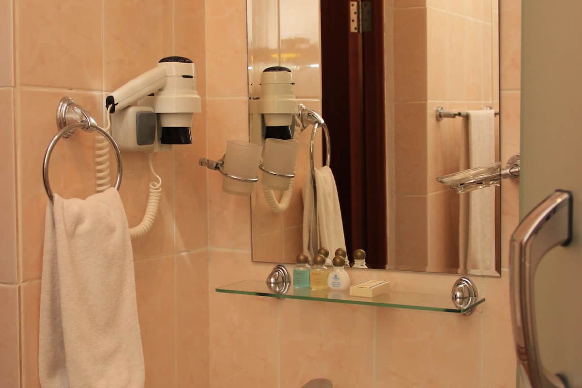 shower, free toiletries, hair dryer, slippers