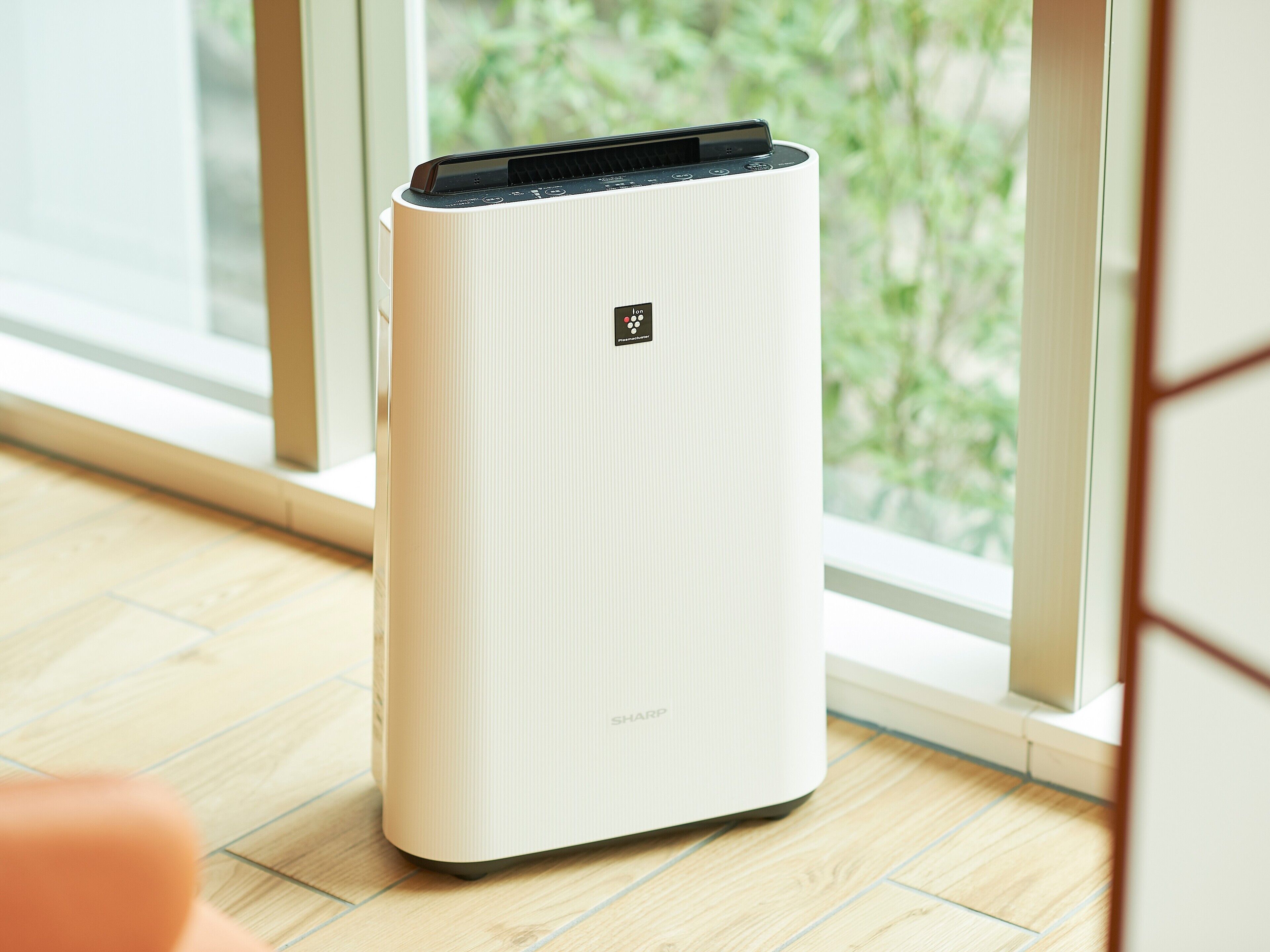 desk, free wifi, bed sheets, wheelchair access