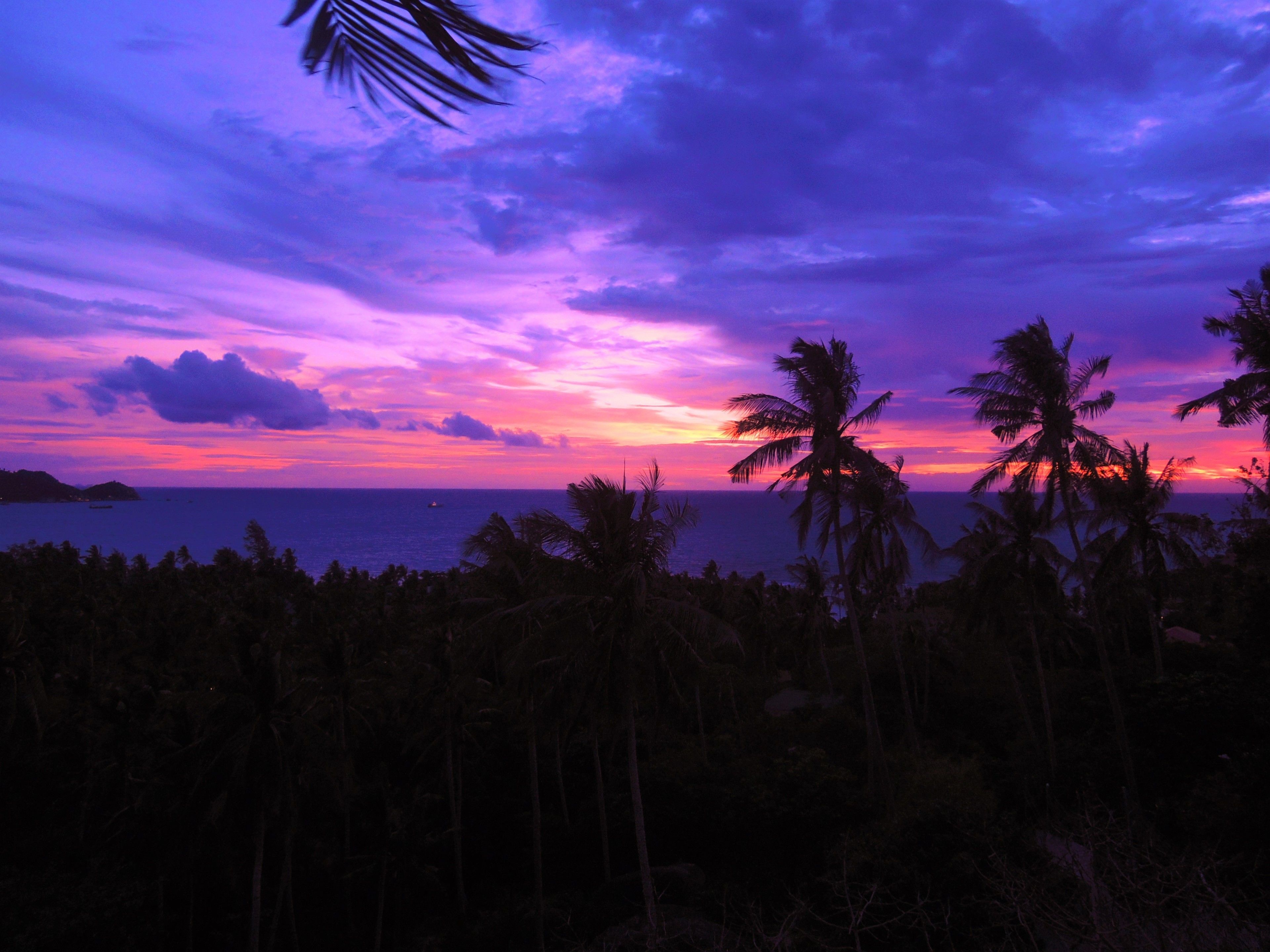A sunset over a tropical beach with palm trees silhouetted against the sky.
