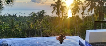 龟岛种植园酒店