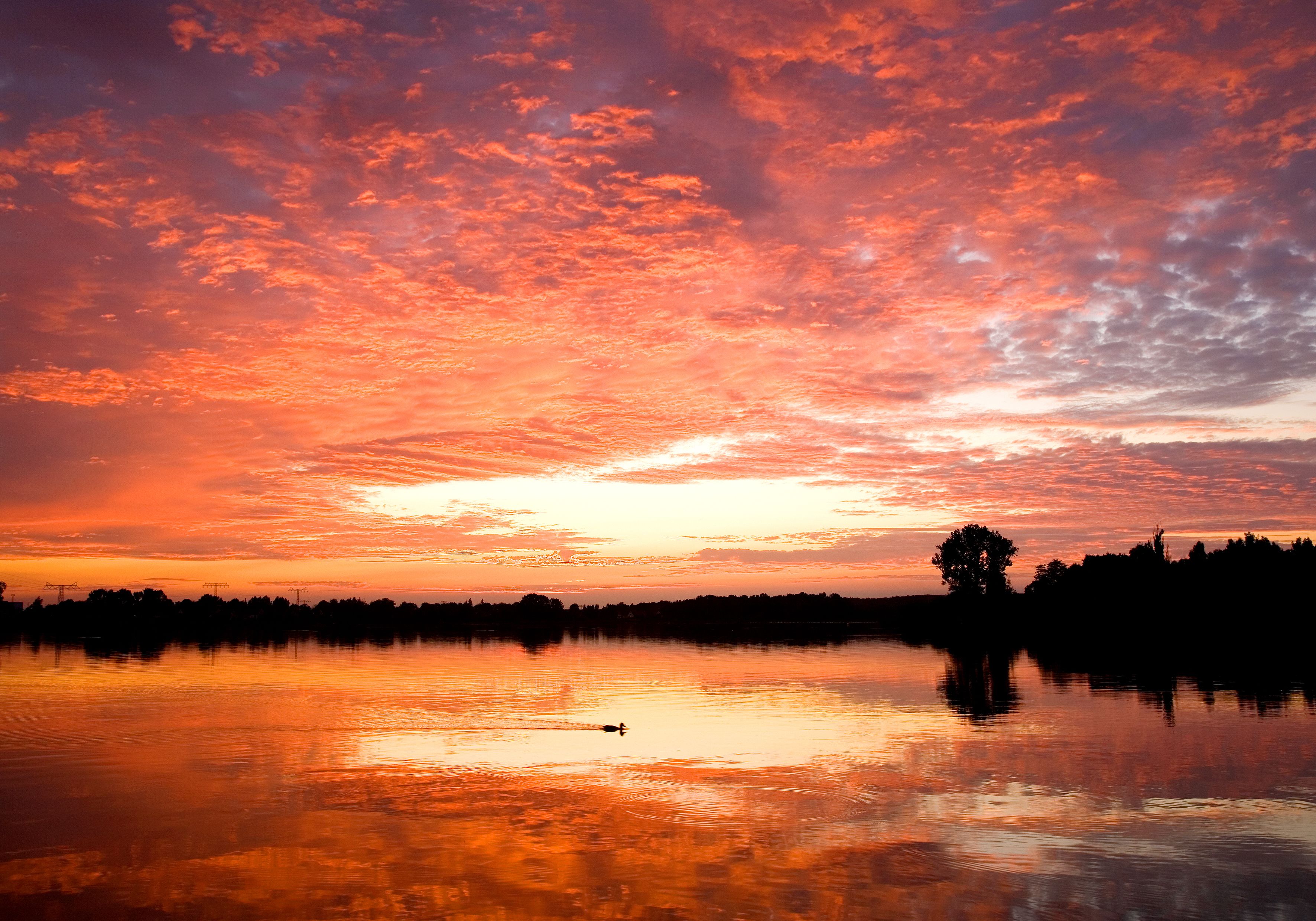 Un coucher de soleil sur un lac paisible, avec la silhouette d’arbres et une seule barque.