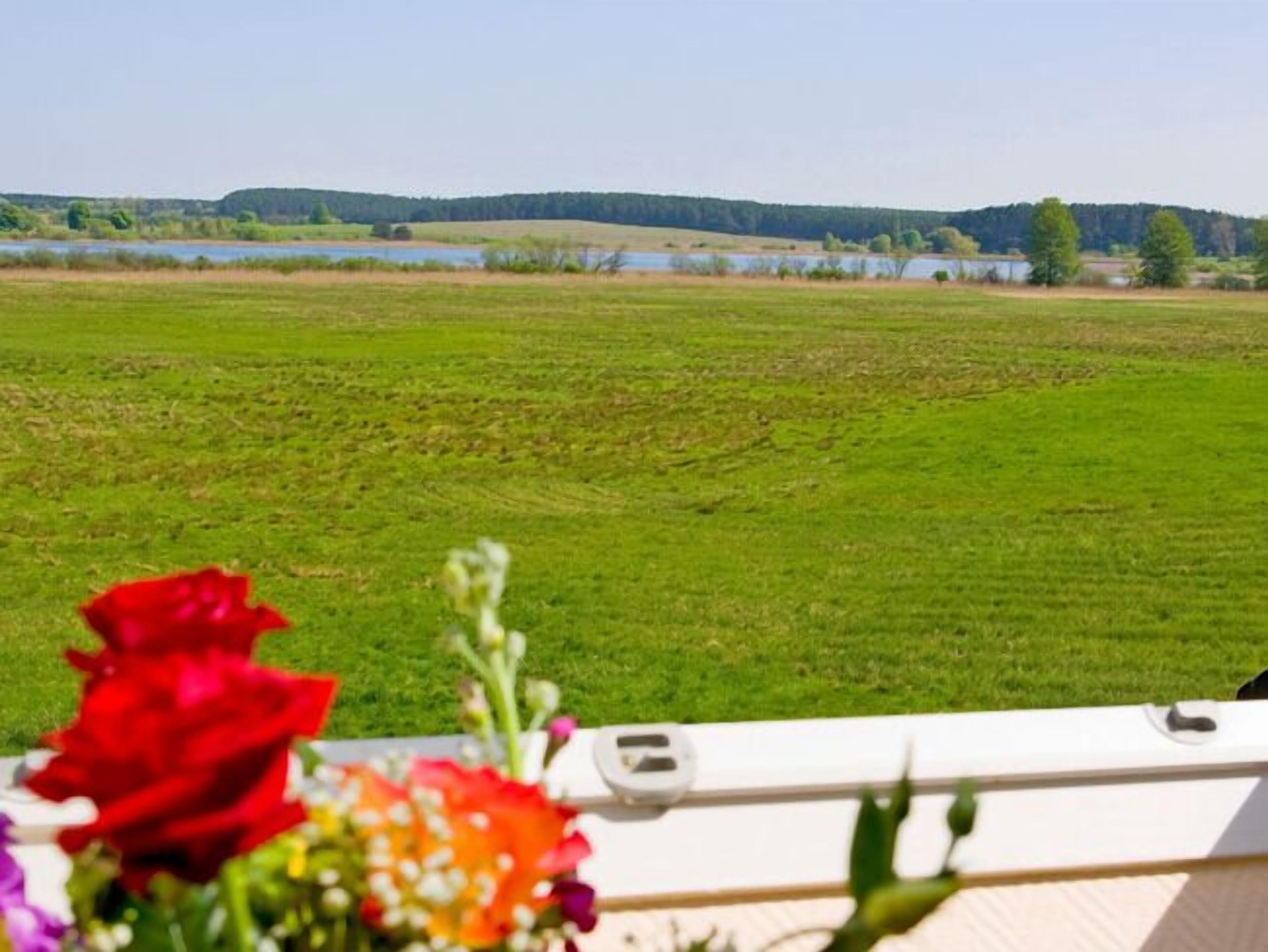 A view from a window overlooking a grassy field with a lake and hills in the distance.