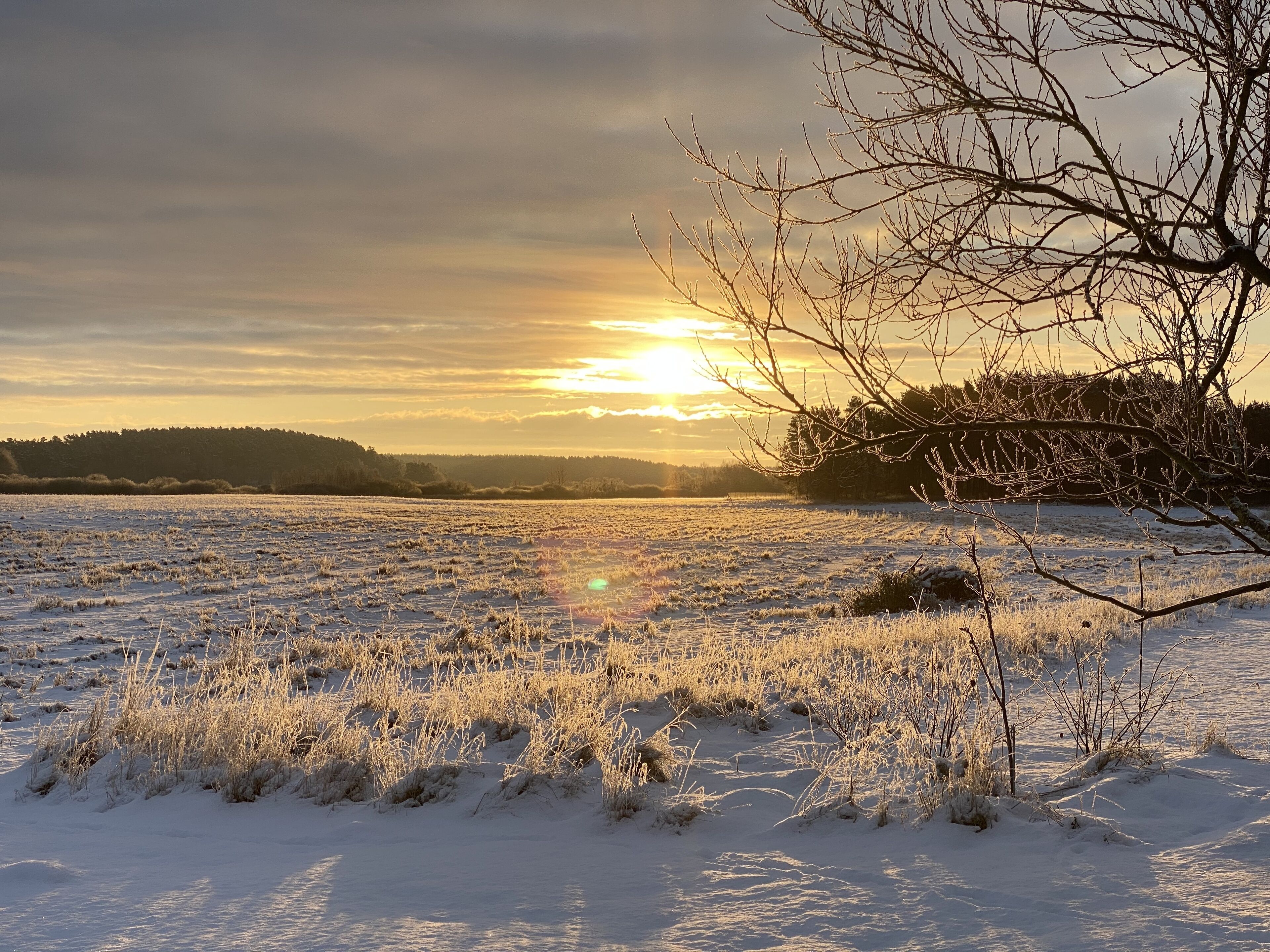 A snowy landscape with a sunset in the background.