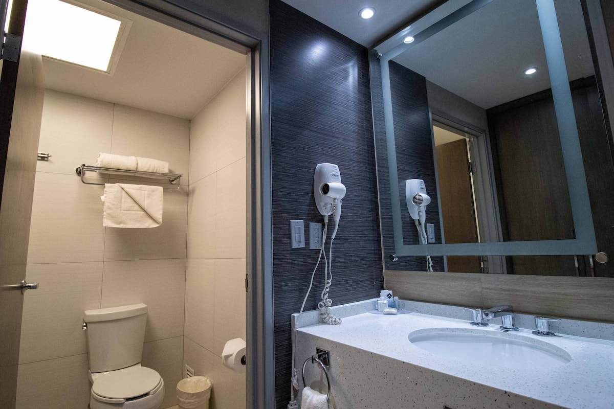 shower, designer toiletries, hair dryer, towels