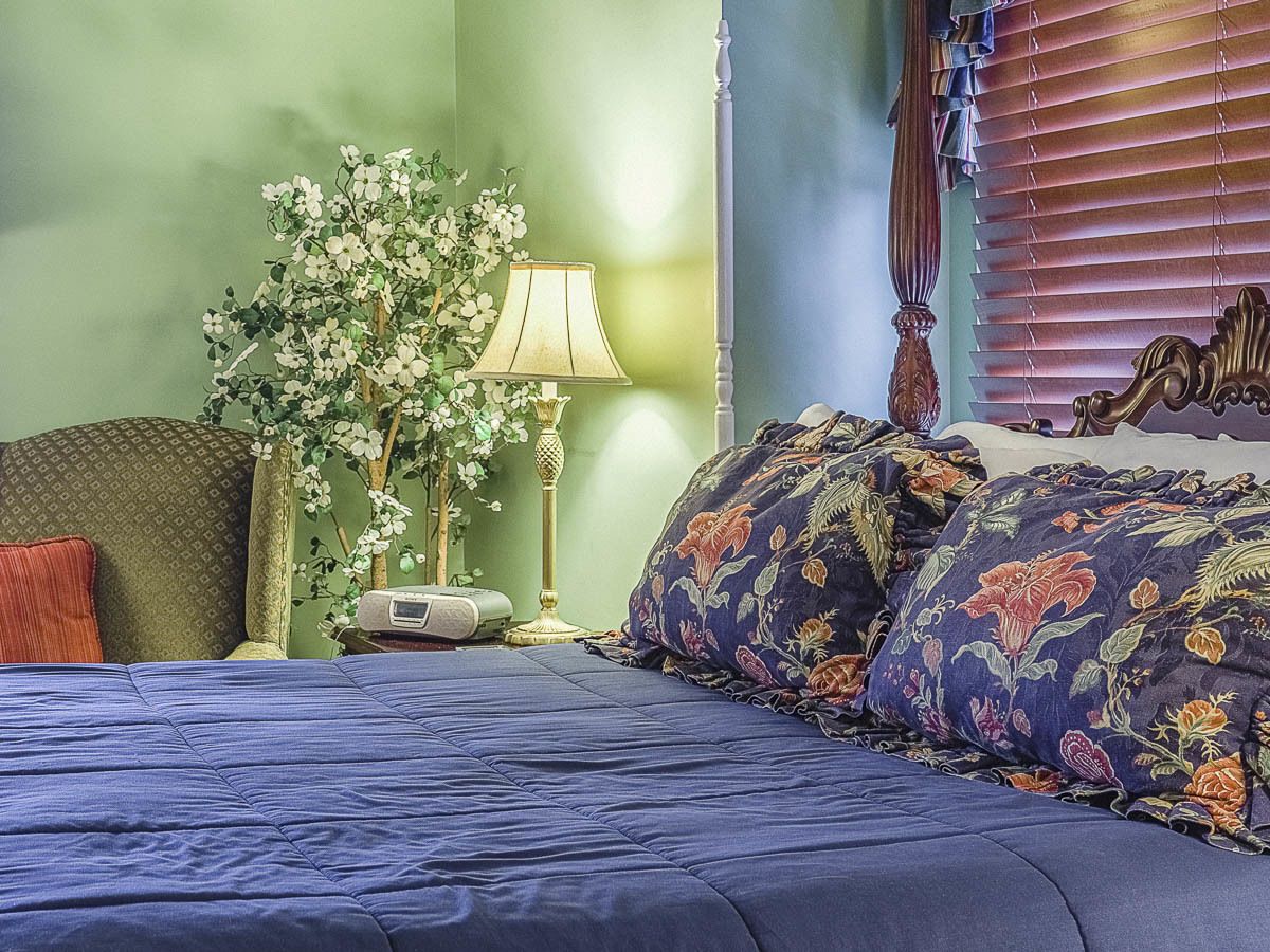 A bedroom with a bed, a nightstand, a lamp, and a decorative plant.