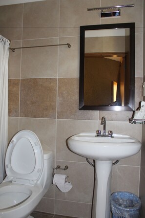 Shower, free toiletries, hair dryer, towels