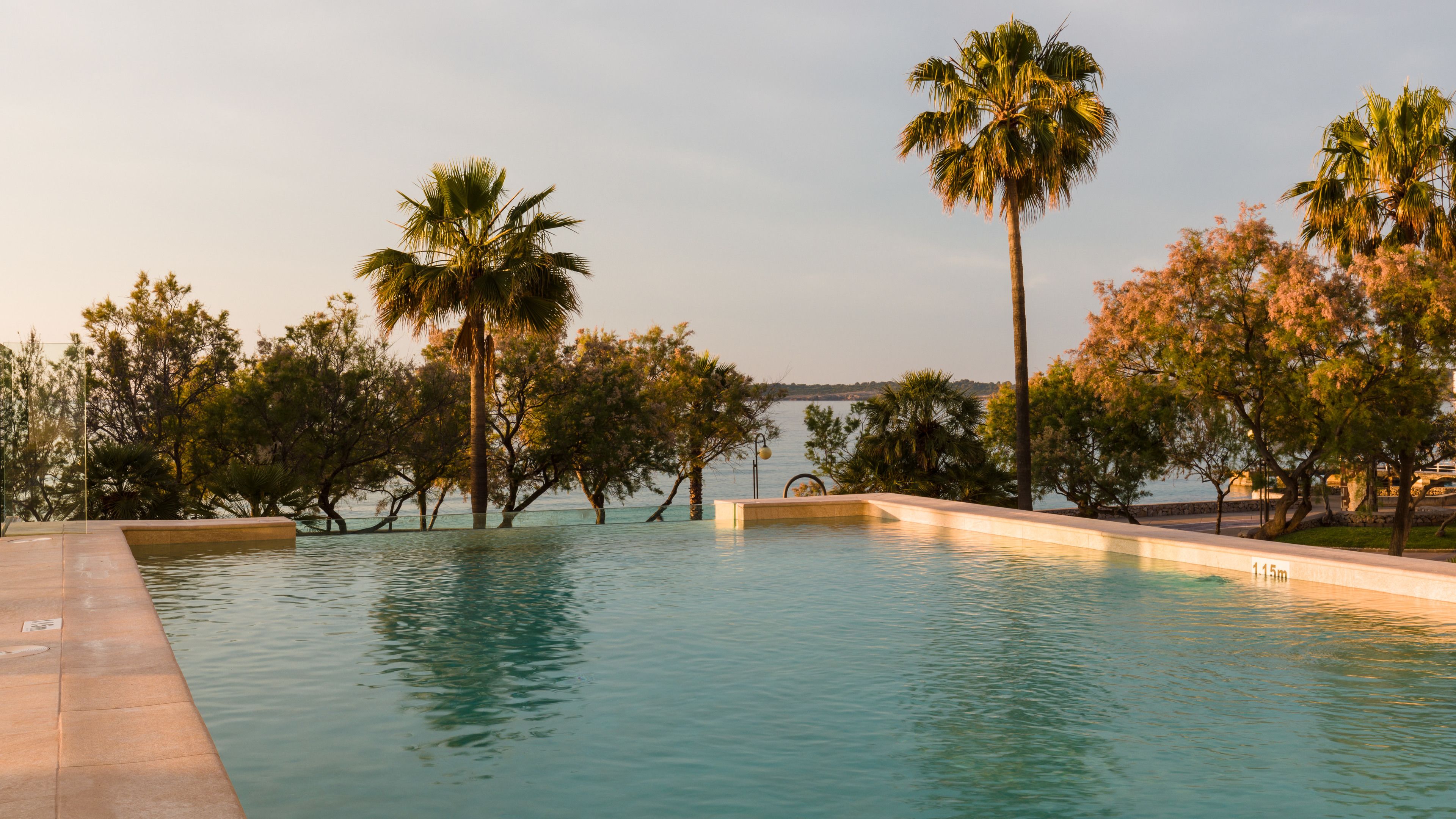 A swimming pool with clear water, surrounded by palm trees and other vegetation.