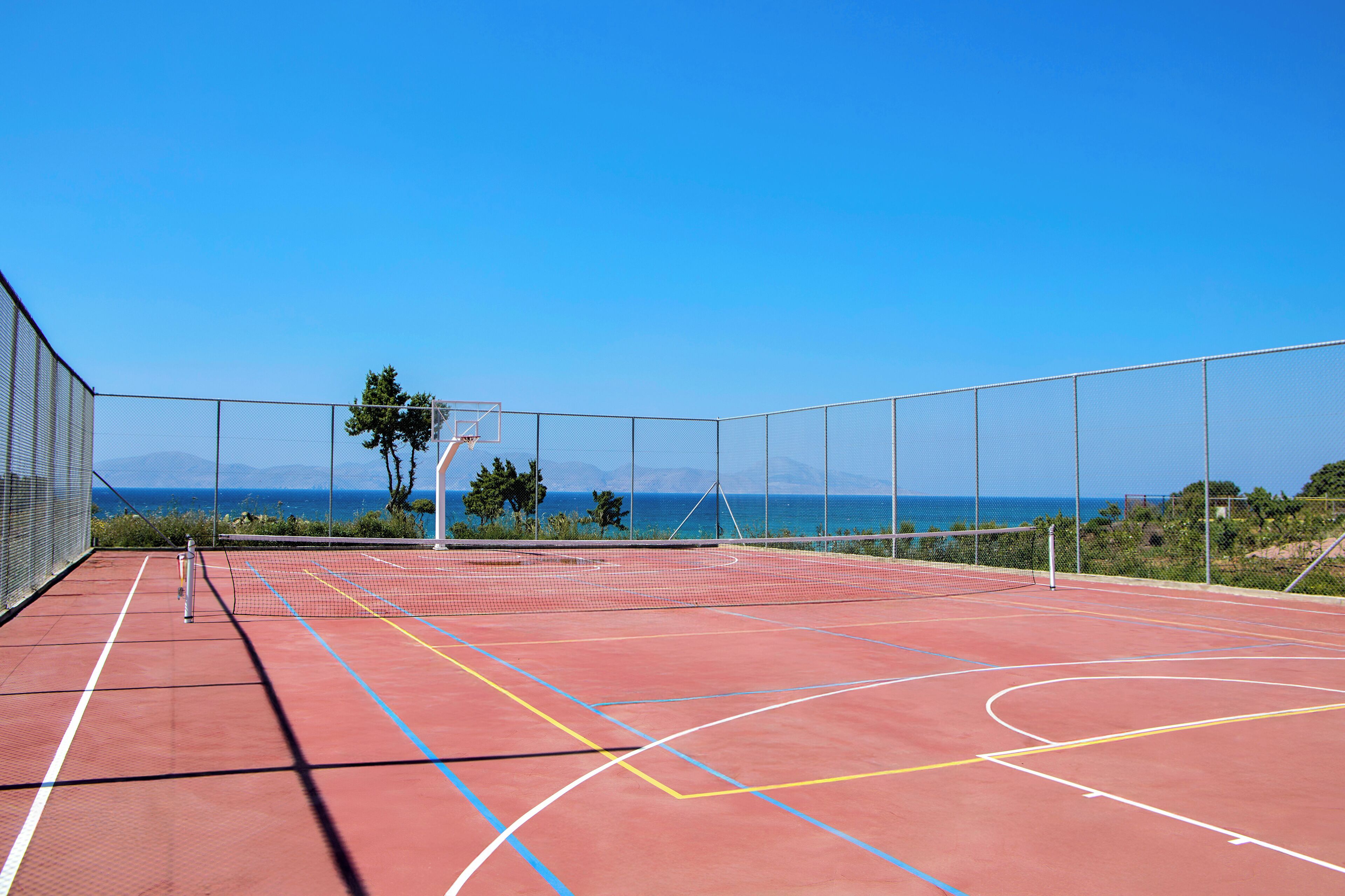 basketball court