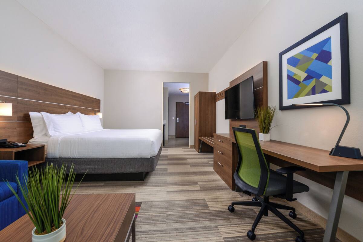 A hotel room with a bed, a desk with a chair, a TV, and a plant.